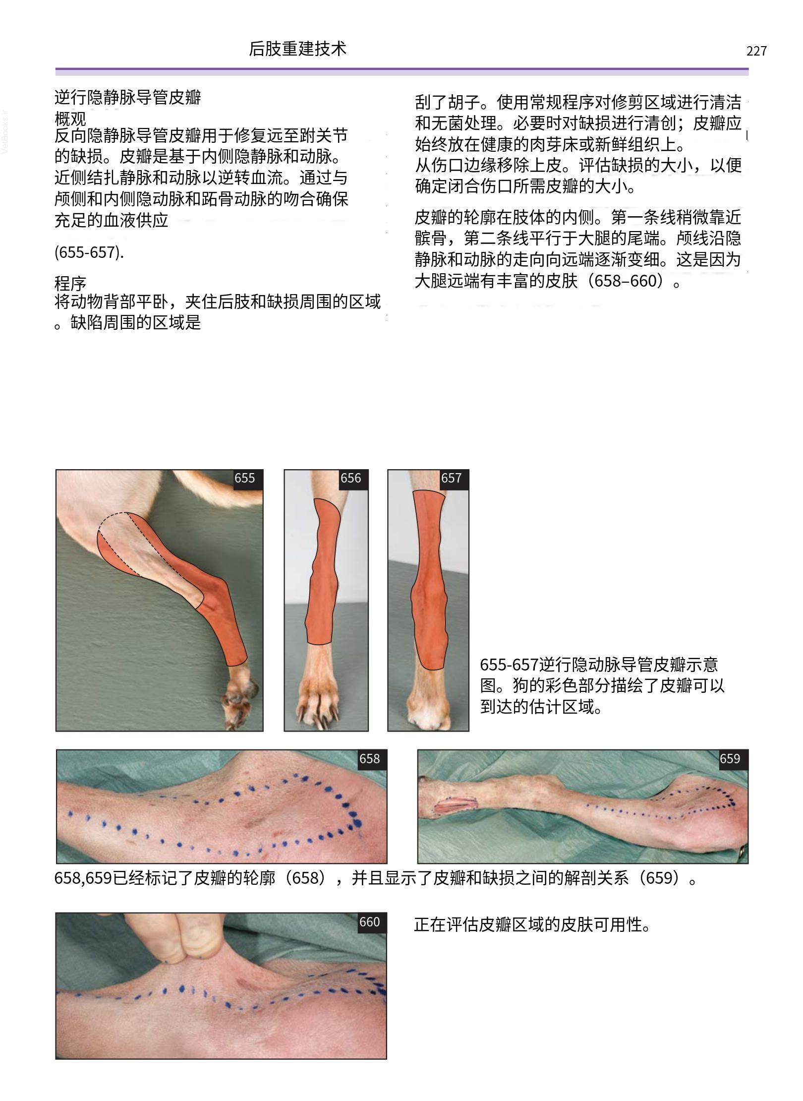 translated.a8c5a3760bed415983298318b0ec0541_228.png