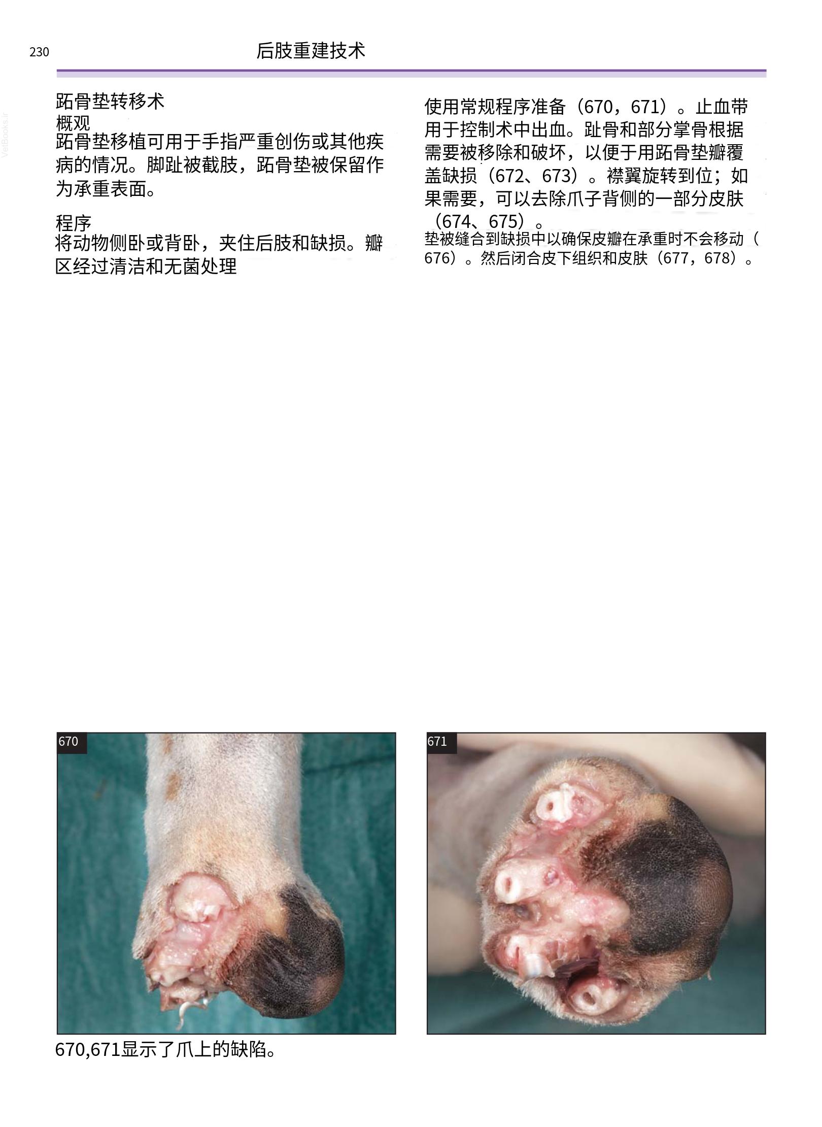 translated.a8c5a3760bed415983298318b0ec0541_231.png