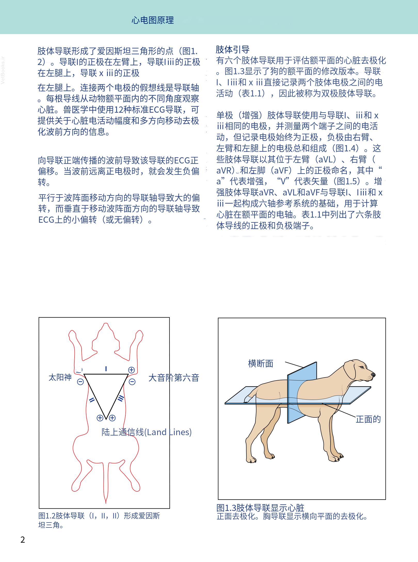 translated.08360f77efdd439f8d33c7a2dc6aedd5_15.png