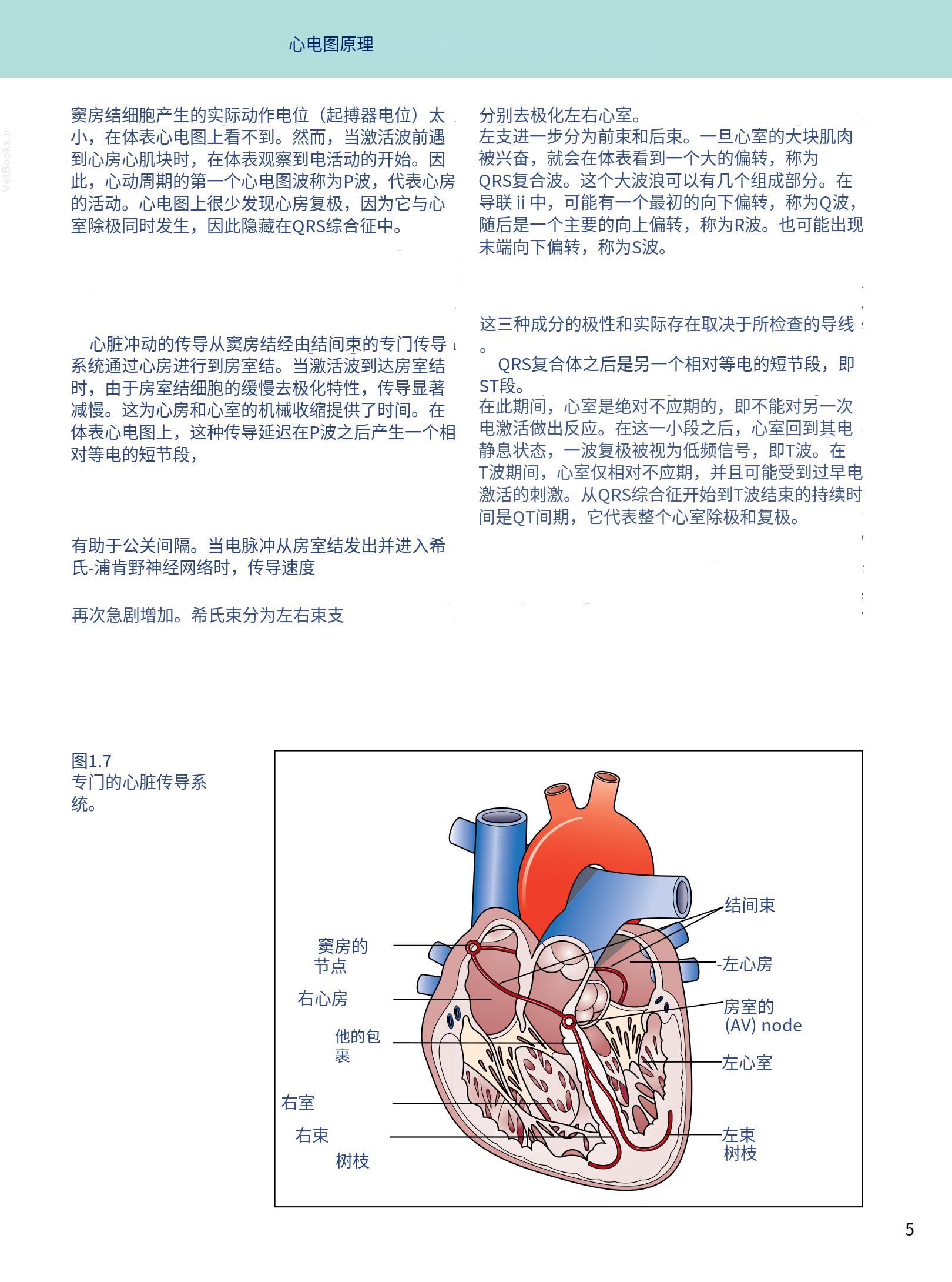 translated.08360f77efdd439f8d33c7a2dc6aedd5_18.png