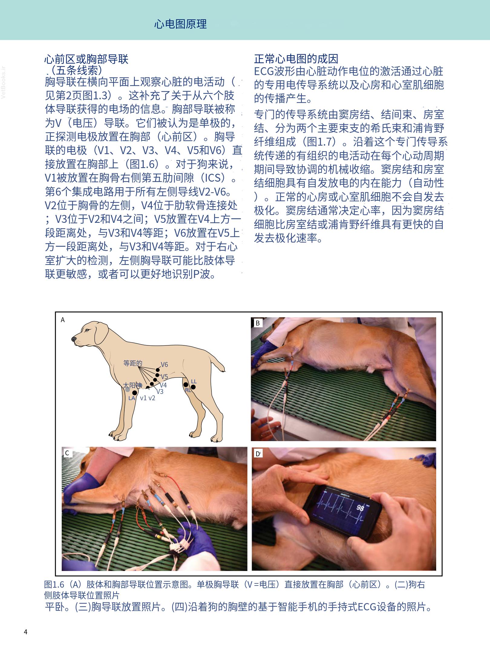 translated.08360f77efdd439f8d33c7a2dc6aedd5_17.png
