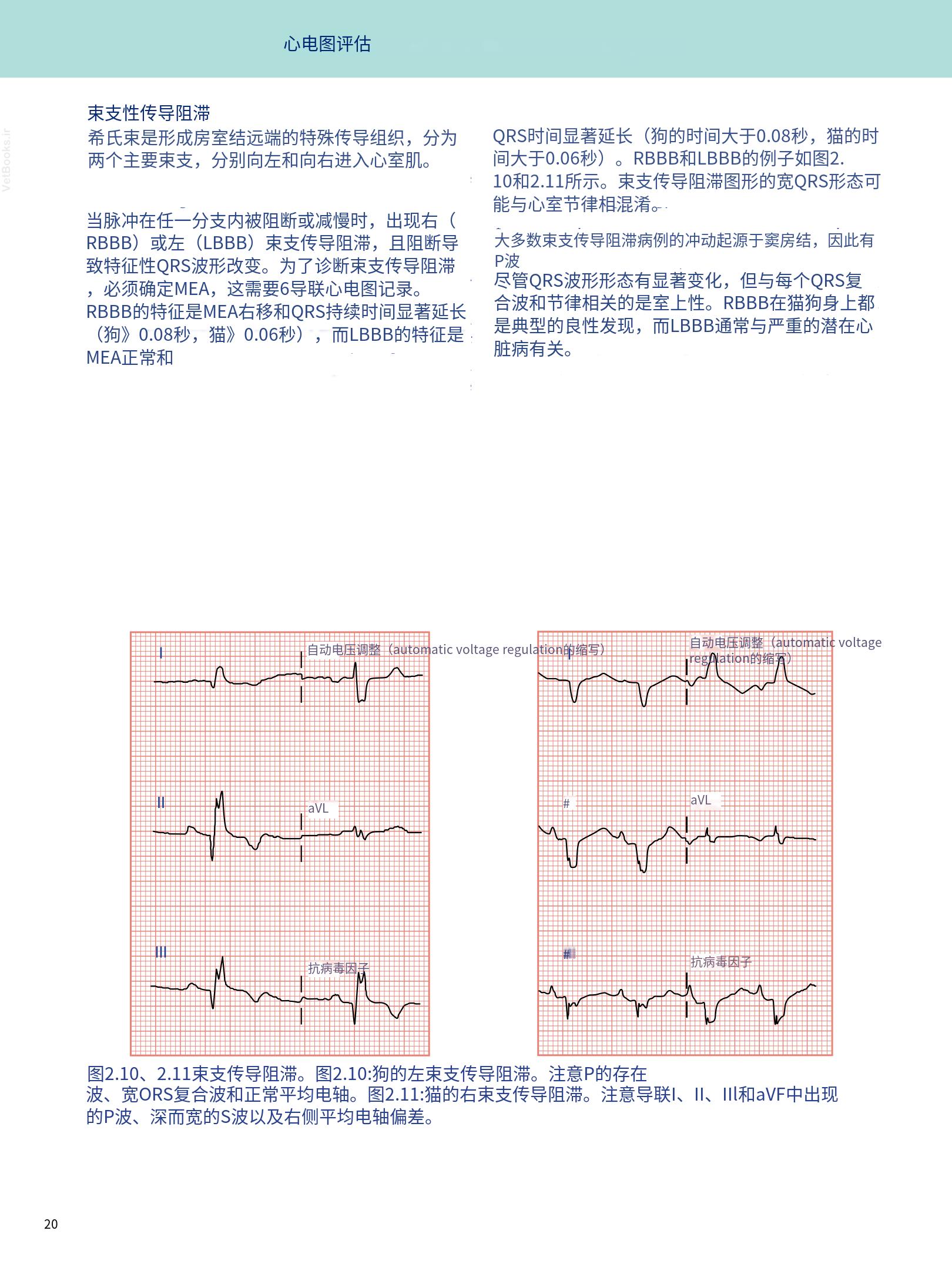 translated.08360f77efdd439f8d33c7a2dc6aedd5_33.png