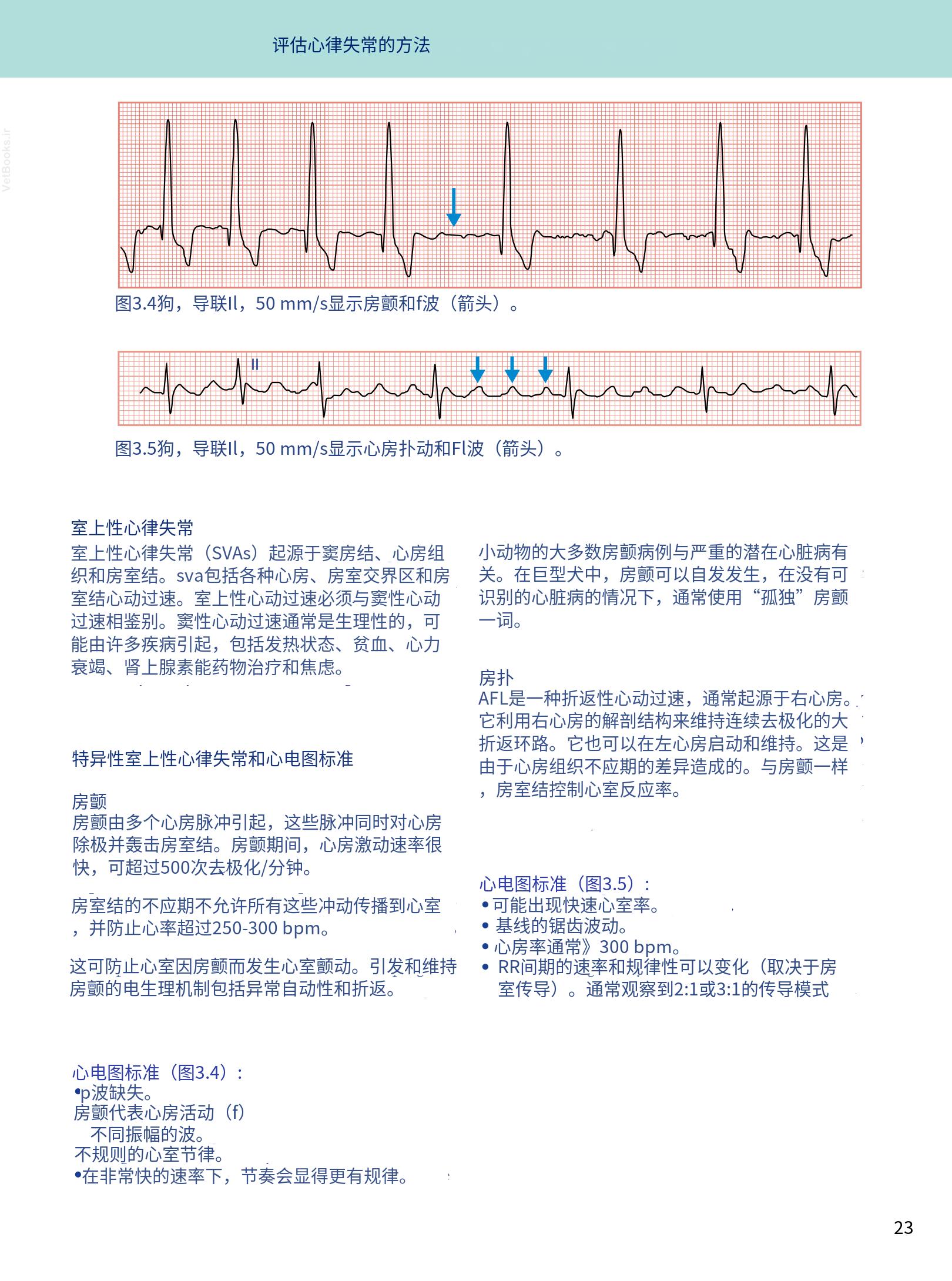 translated.08360f77efdd439f8d33c7a2dc6aedd5_36.png