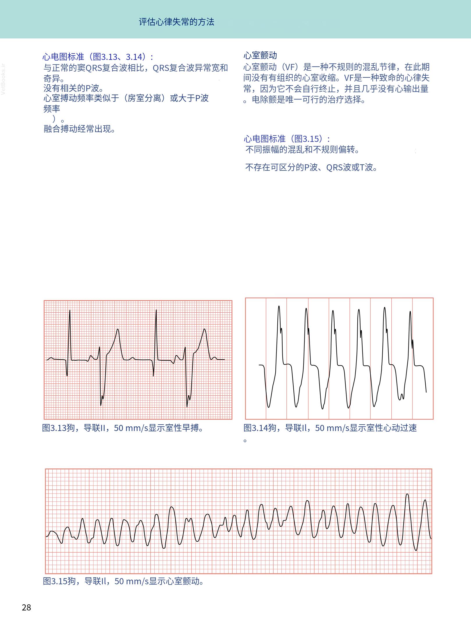 translated.08360f77efdd439f8d33c7a2dc6aedd5_41.png
