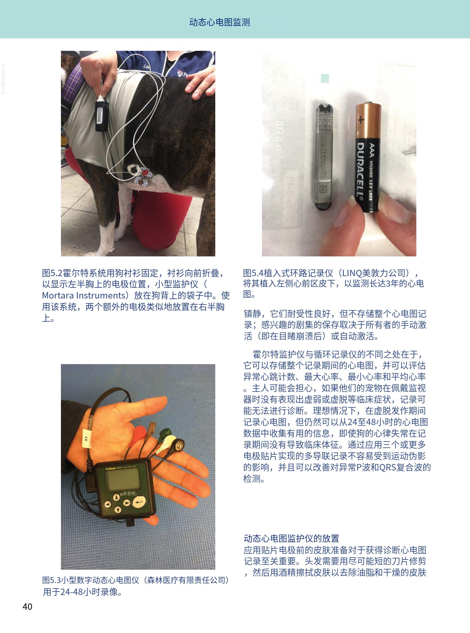 translated.08360f77efdd439f8d33c7a2dc6aedd5_53.png