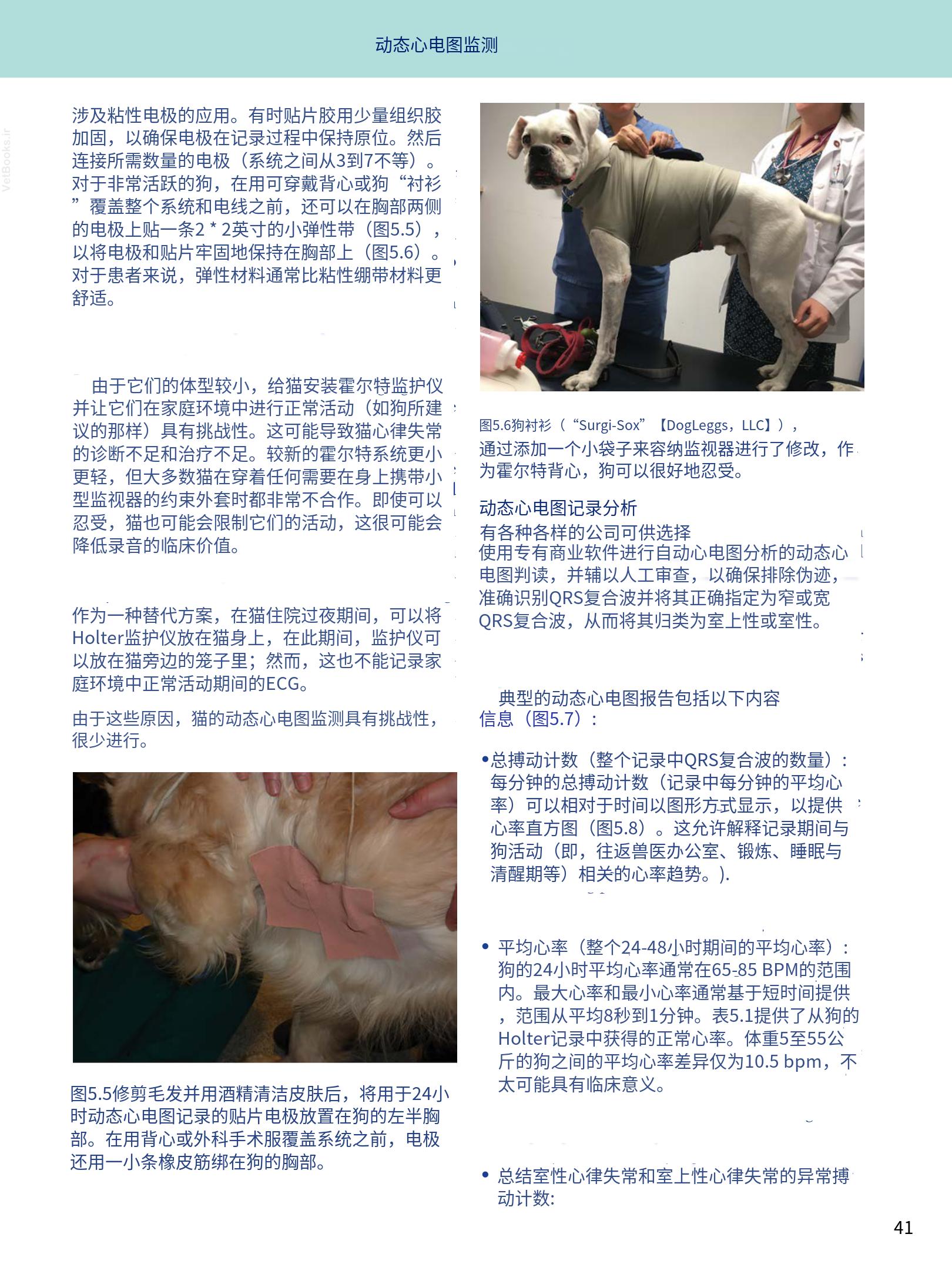 translated.08360f77efdd439f8d33c7a2dc6aedd5_54.png