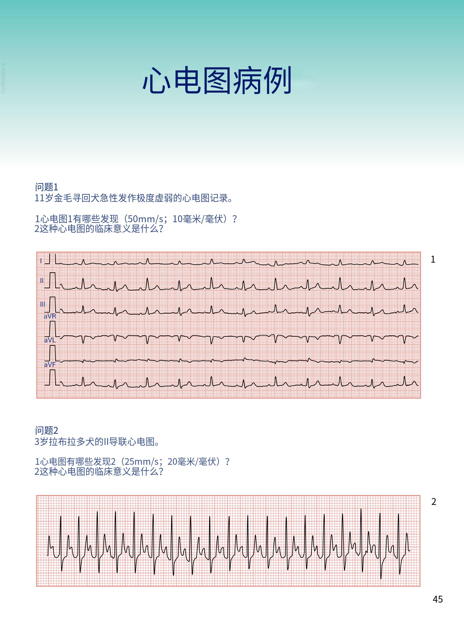 translated.08360f77efdd439f8d33c7a2dc6aedd5_58.png
