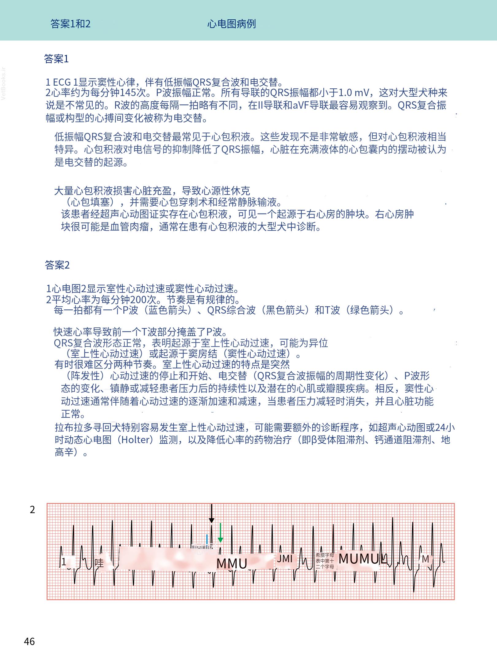 translated.08360f77efdd439f8d33c7a2dc6aedd5_59.png