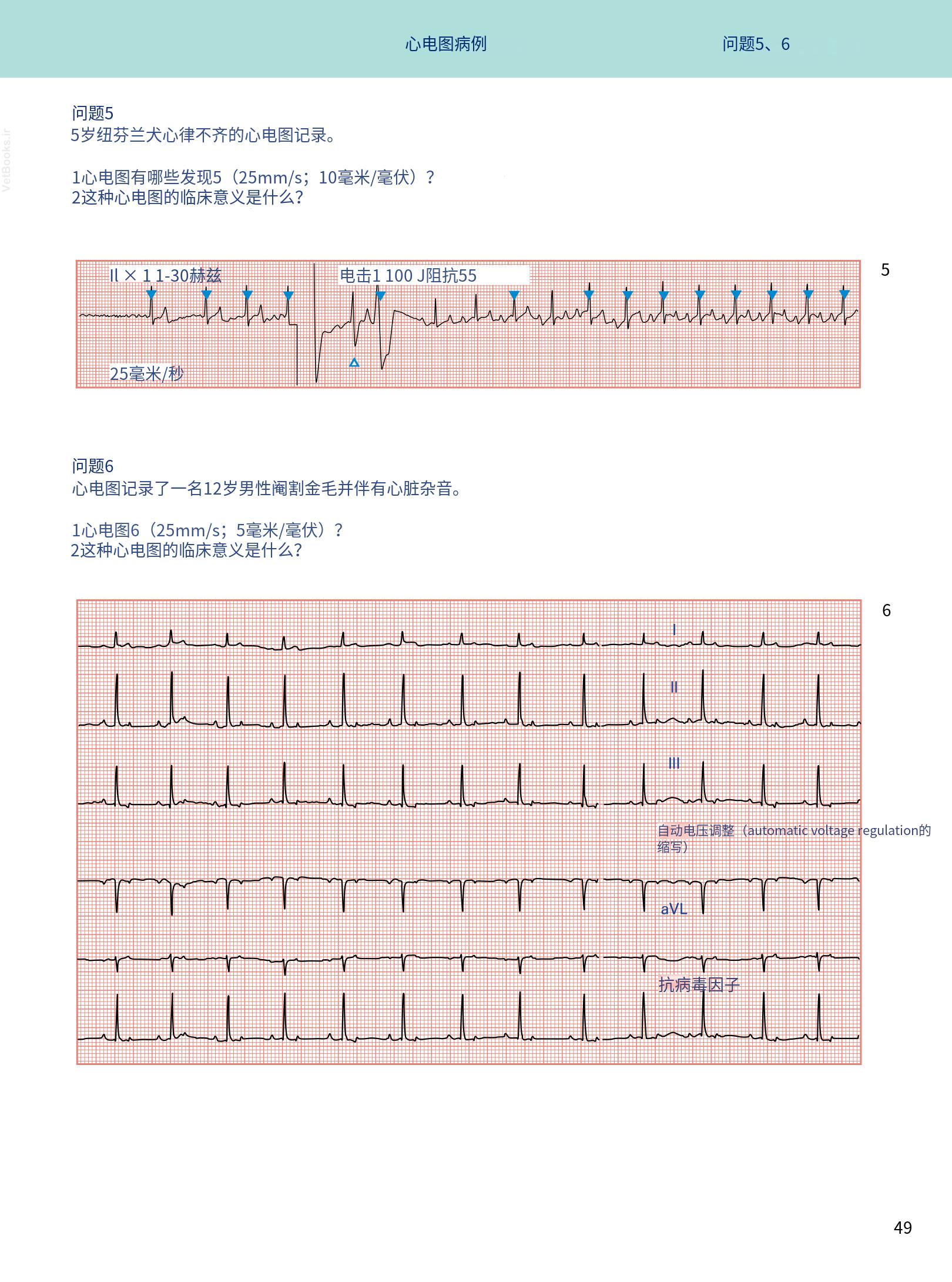 translated.08360f77efdd439f8d33c7a2dc6aedd5_62.png