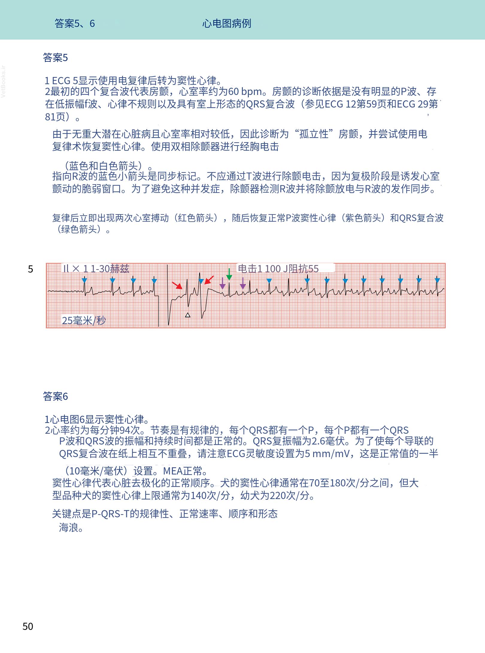 translated.08360f77efdd439f8d33c7a2dc6aedd5_63.png