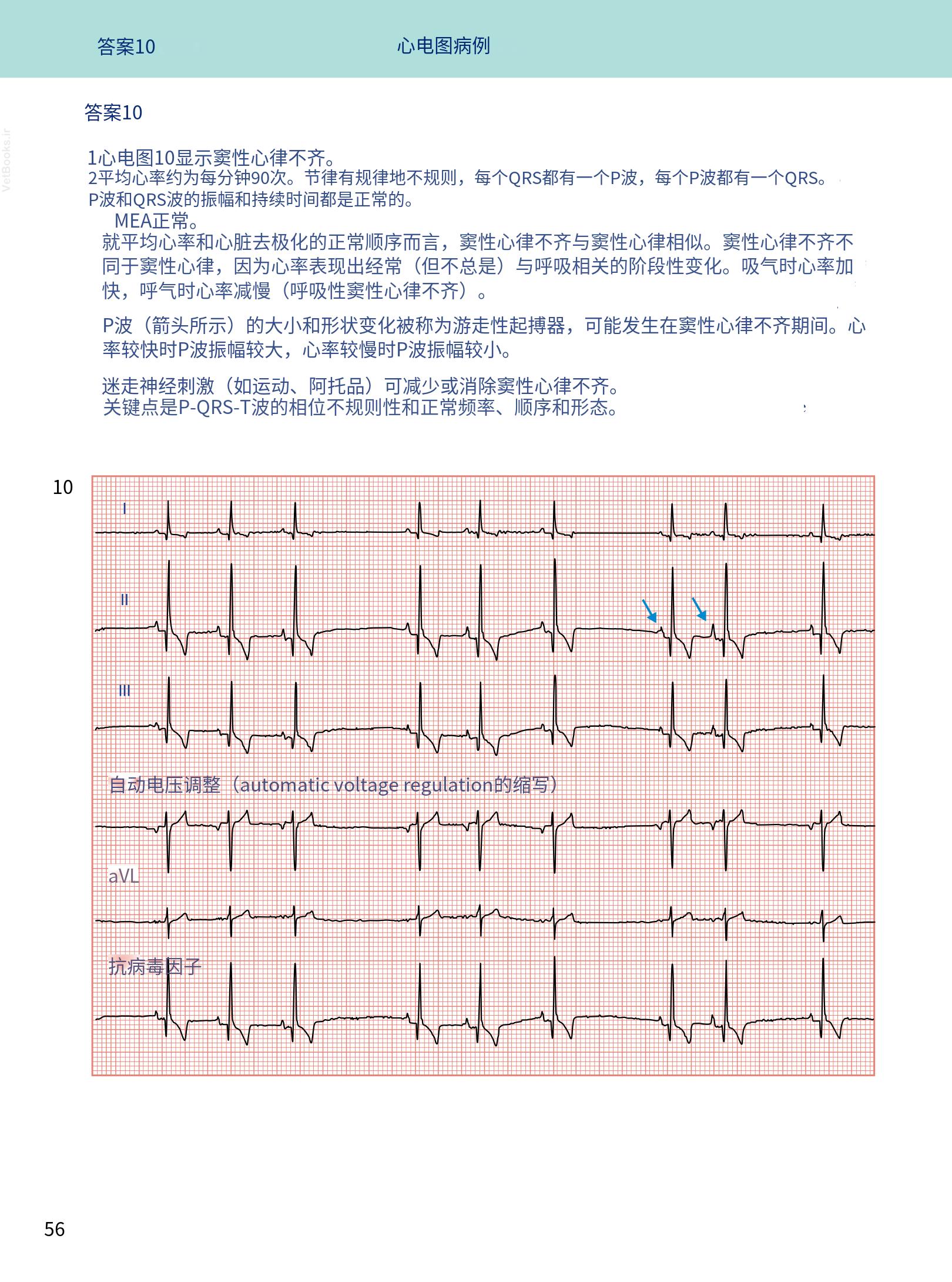 translated.08360f77efdd439f8d33c7a2dc6aedd5_69.png
