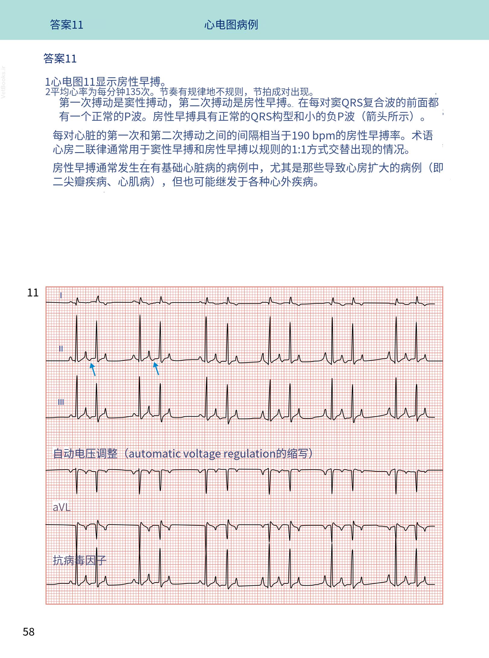 translated.08360f77efdd439f8d33c7a2dc6aedd5_71.png
