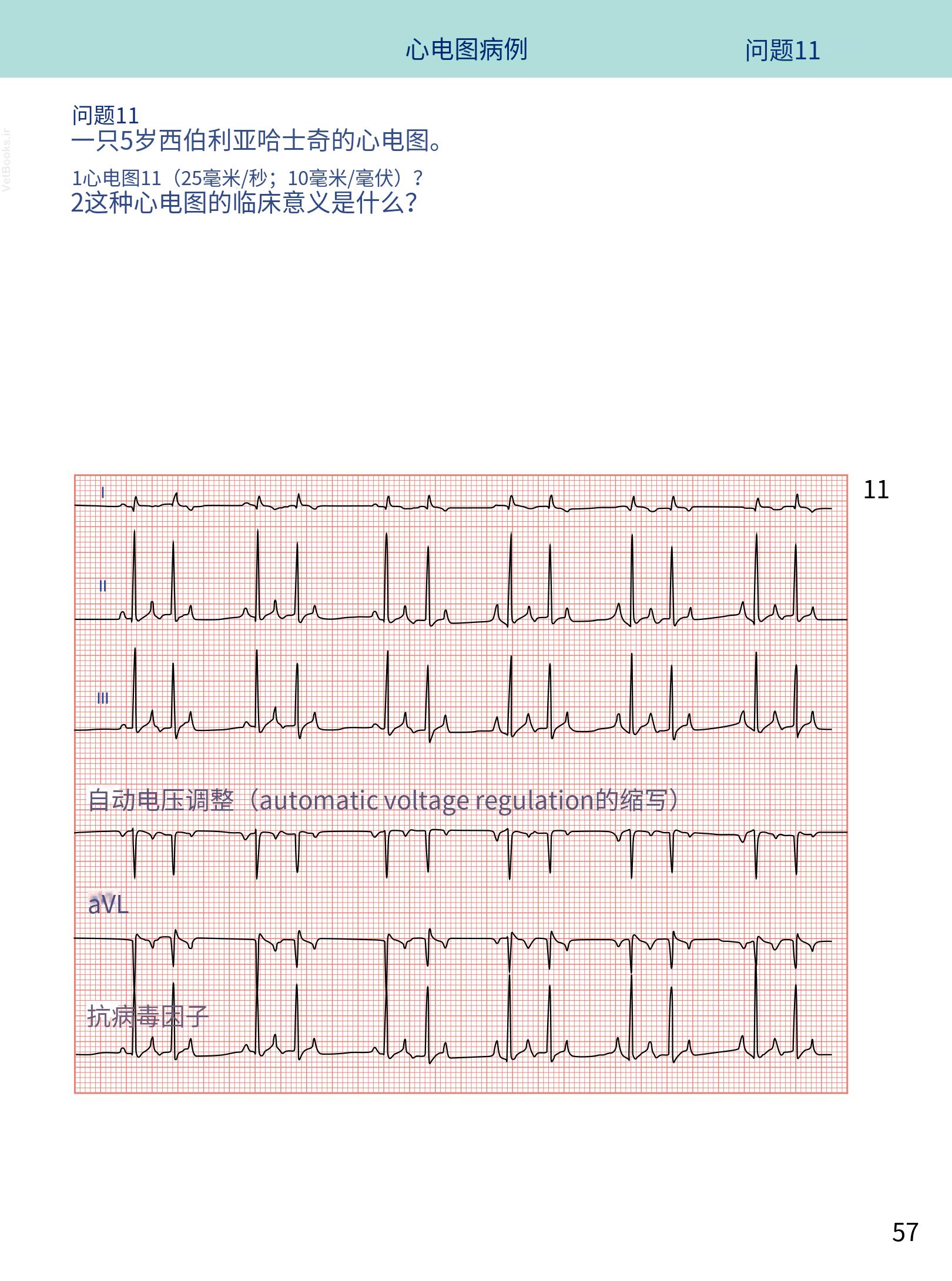 translated.08360f77efdd439f8d33c7a2dc6aedd5_70.png
