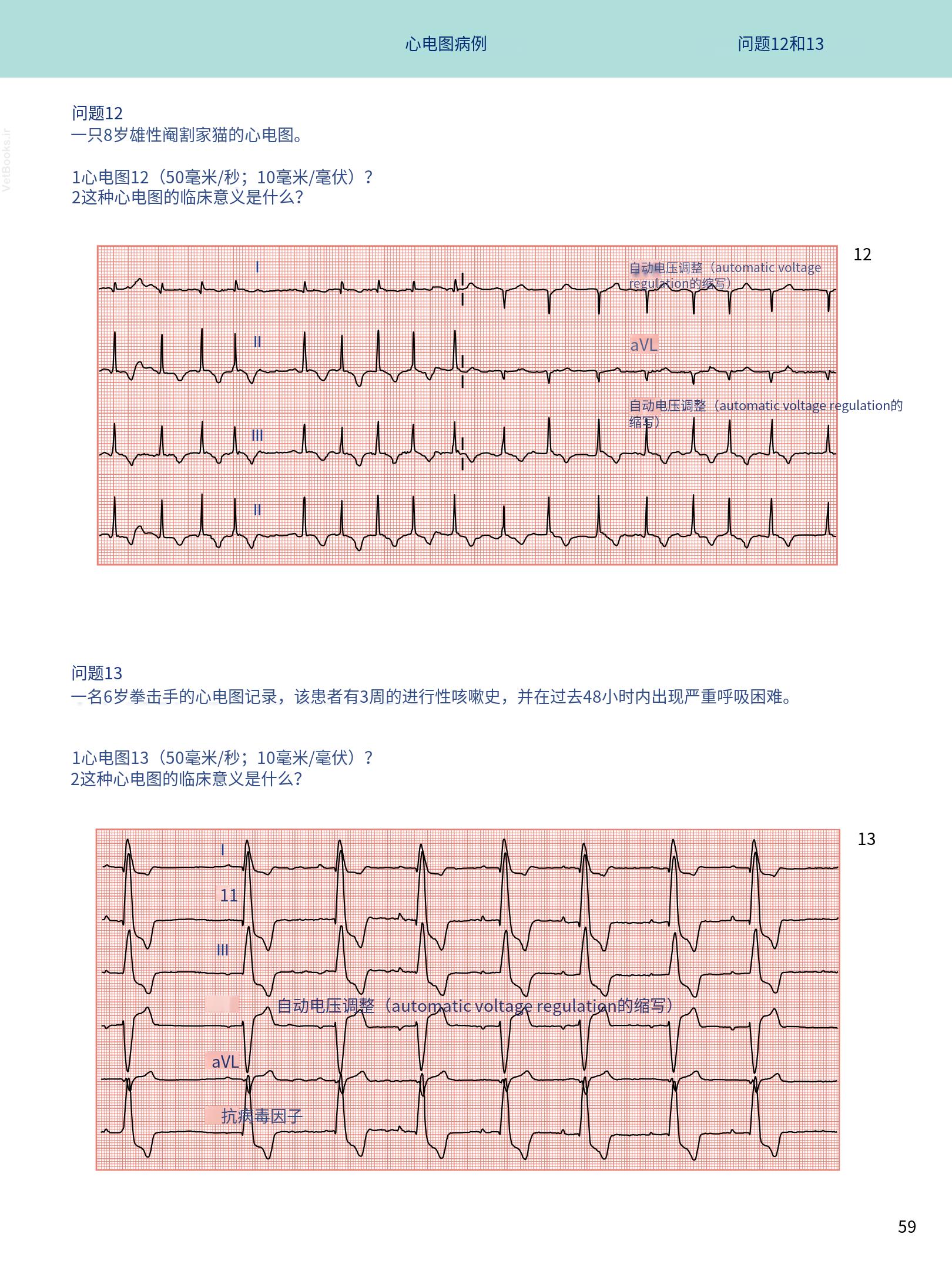 translated.08360f77efdd439f8d33c7a2dc6aedd5_72.png