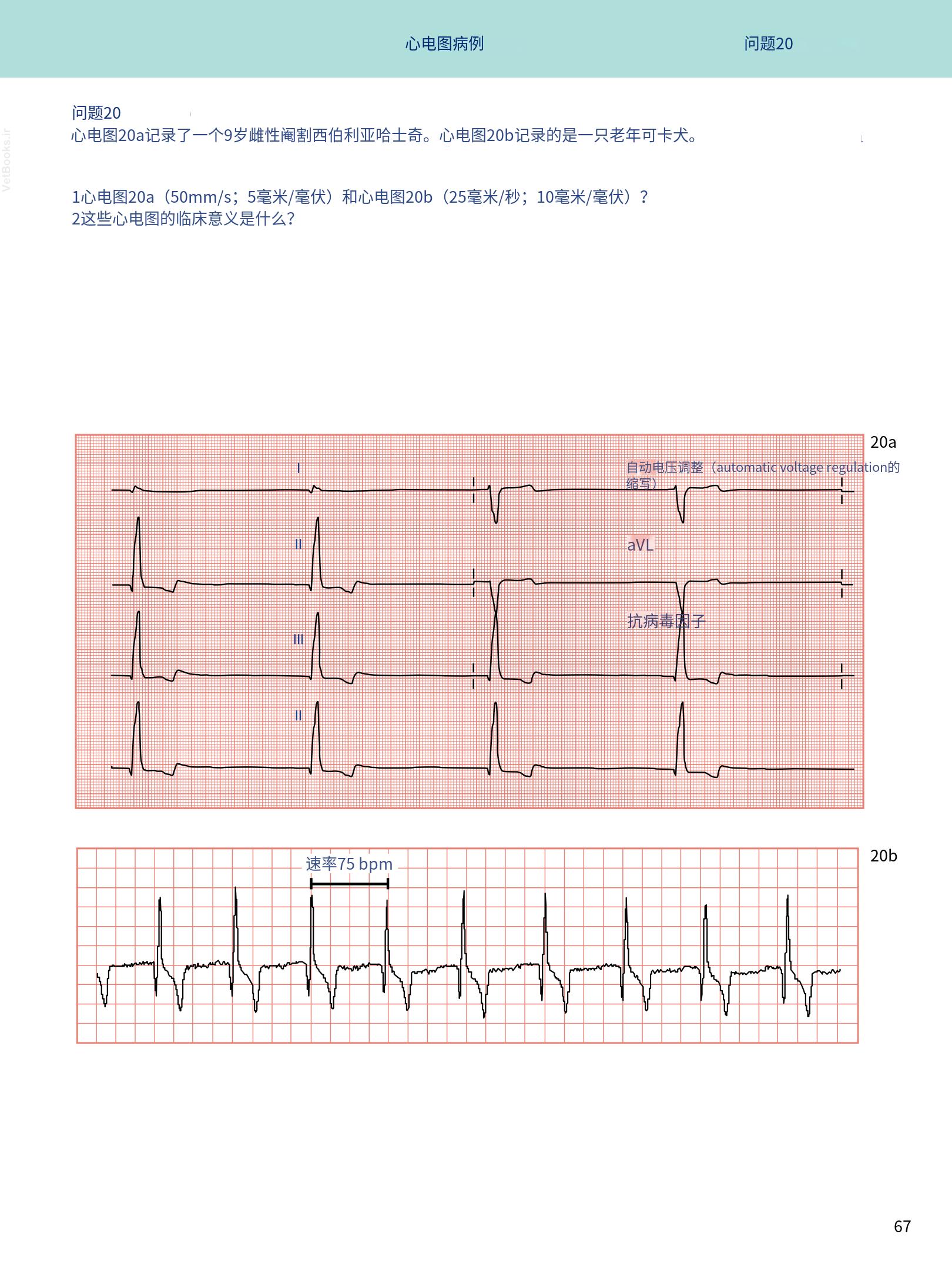 translated.08360f77efdd439f8d33c7a2dc6aedd5_80.png