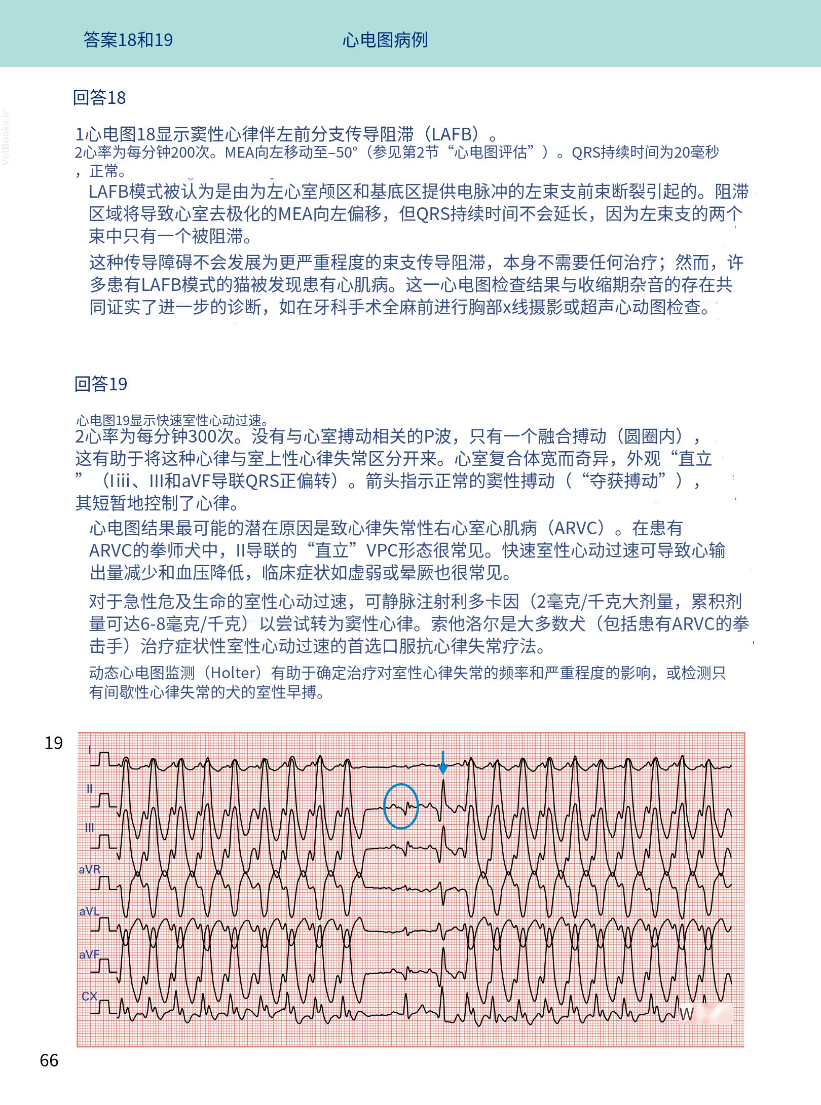 translated.08360f77efdd439f8d33c7a2dc6aedd5_79.png