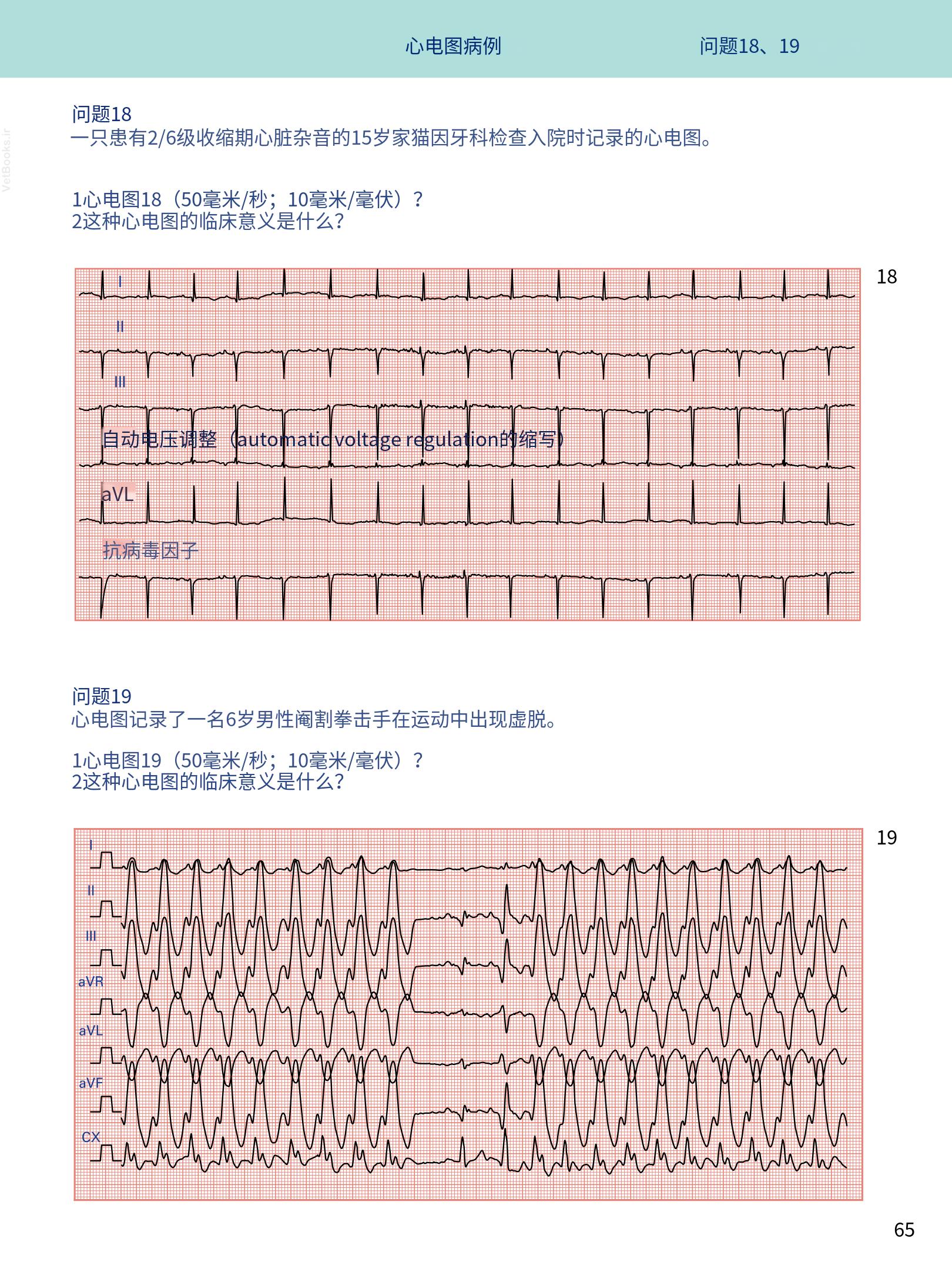translated.08360f77efdd439f8d33c7a2dc6aedd5_78 (1).png