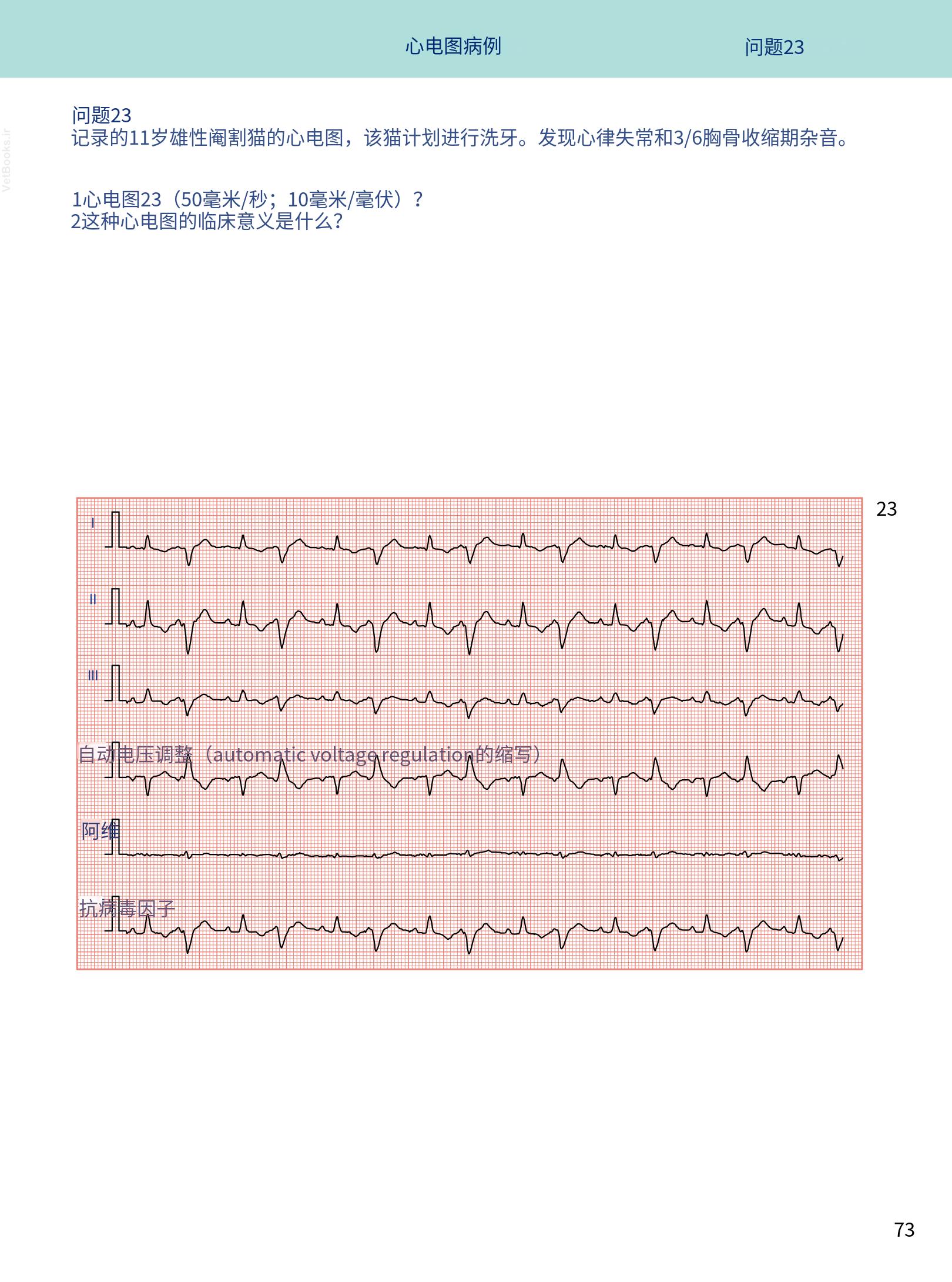 translated.08360f77efdd439f8d33c7a2dc6aedd5_86.png