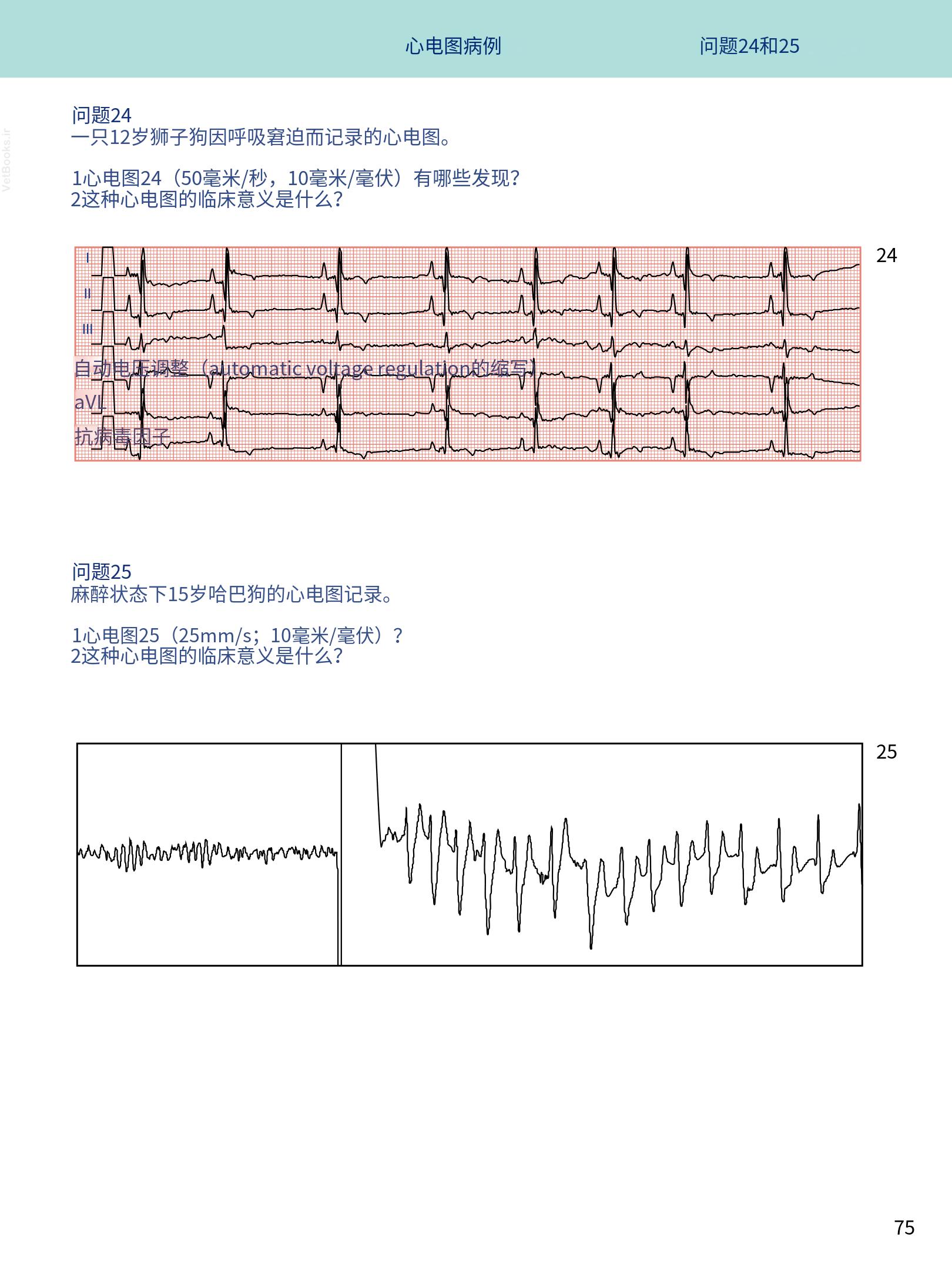 translated.08360f77efdd439f8d33c7a2dc6aedd5_88.png