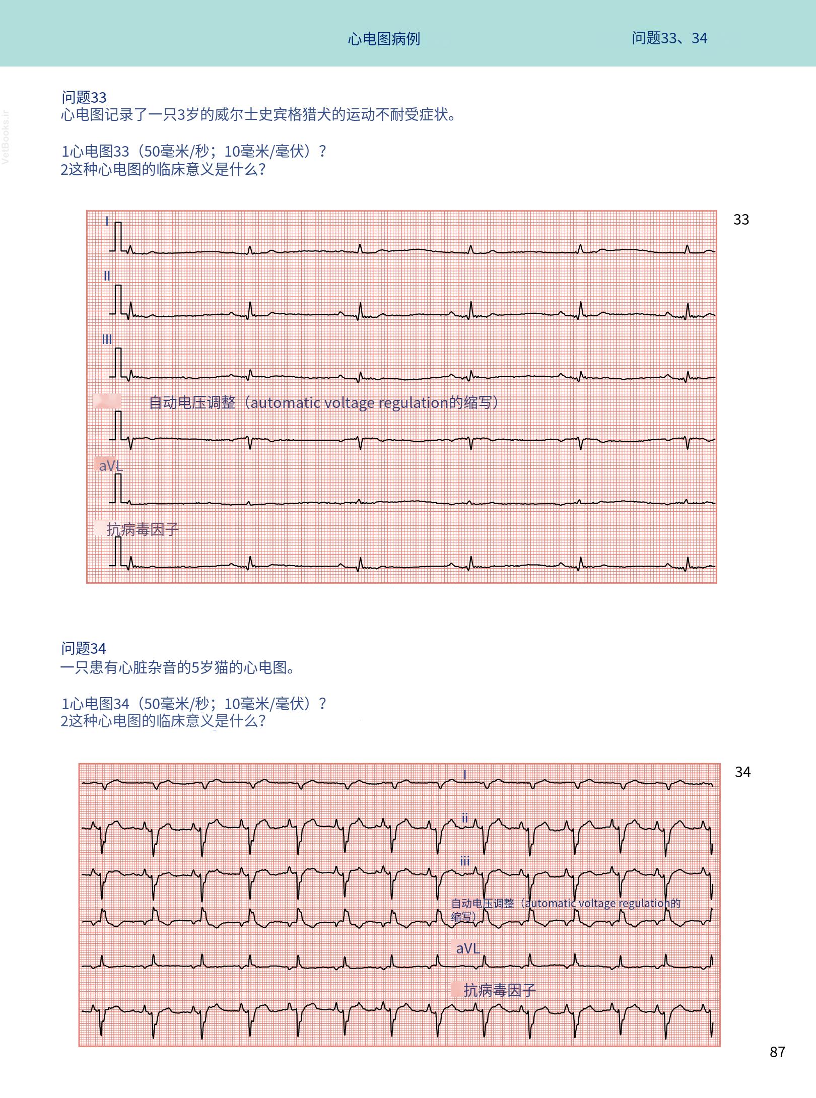 translated.08360f77efdd439f8d33c7a2dc6aedd5_100.png