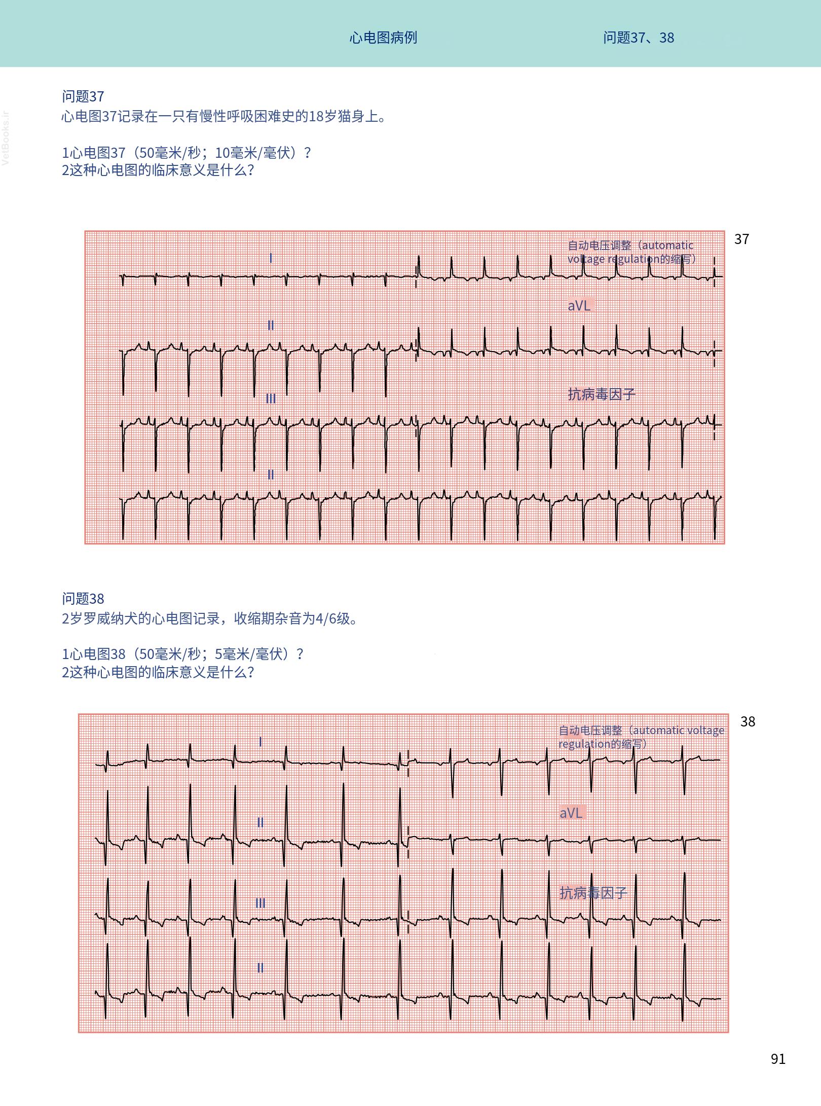 translated.08360f77efdd439f8d33c7a2dc6aedd5_104.png