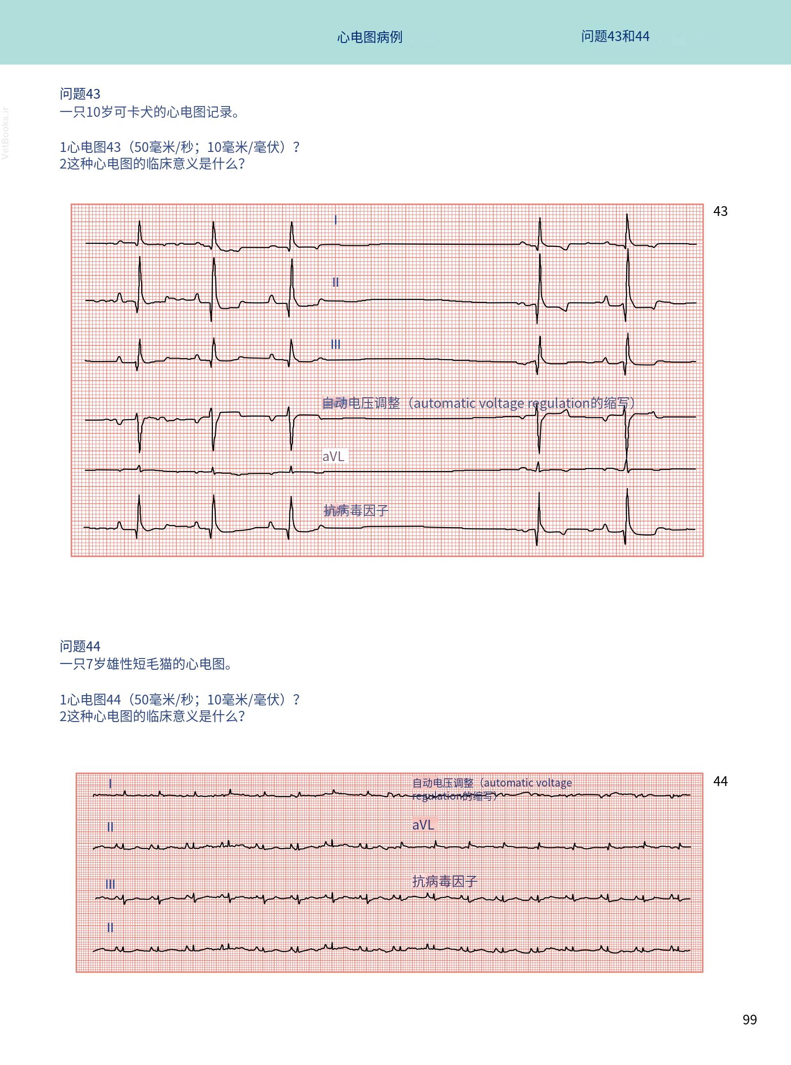 translated.08360f77efdd439f8d33c7a2dc6aedd5_112.png