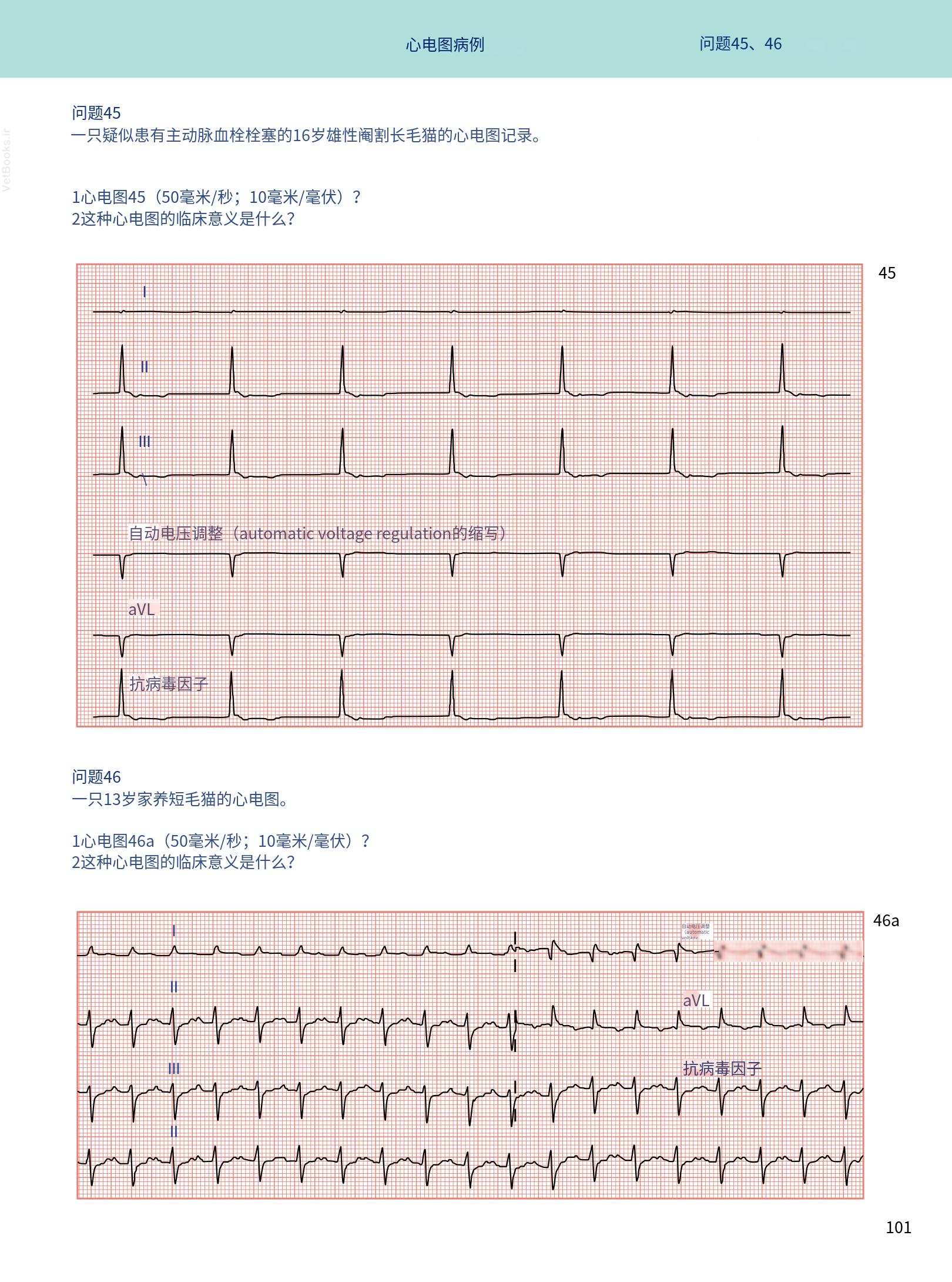 translated.08360f77efdd439f8d33c7a2dc6aedd5_114.png