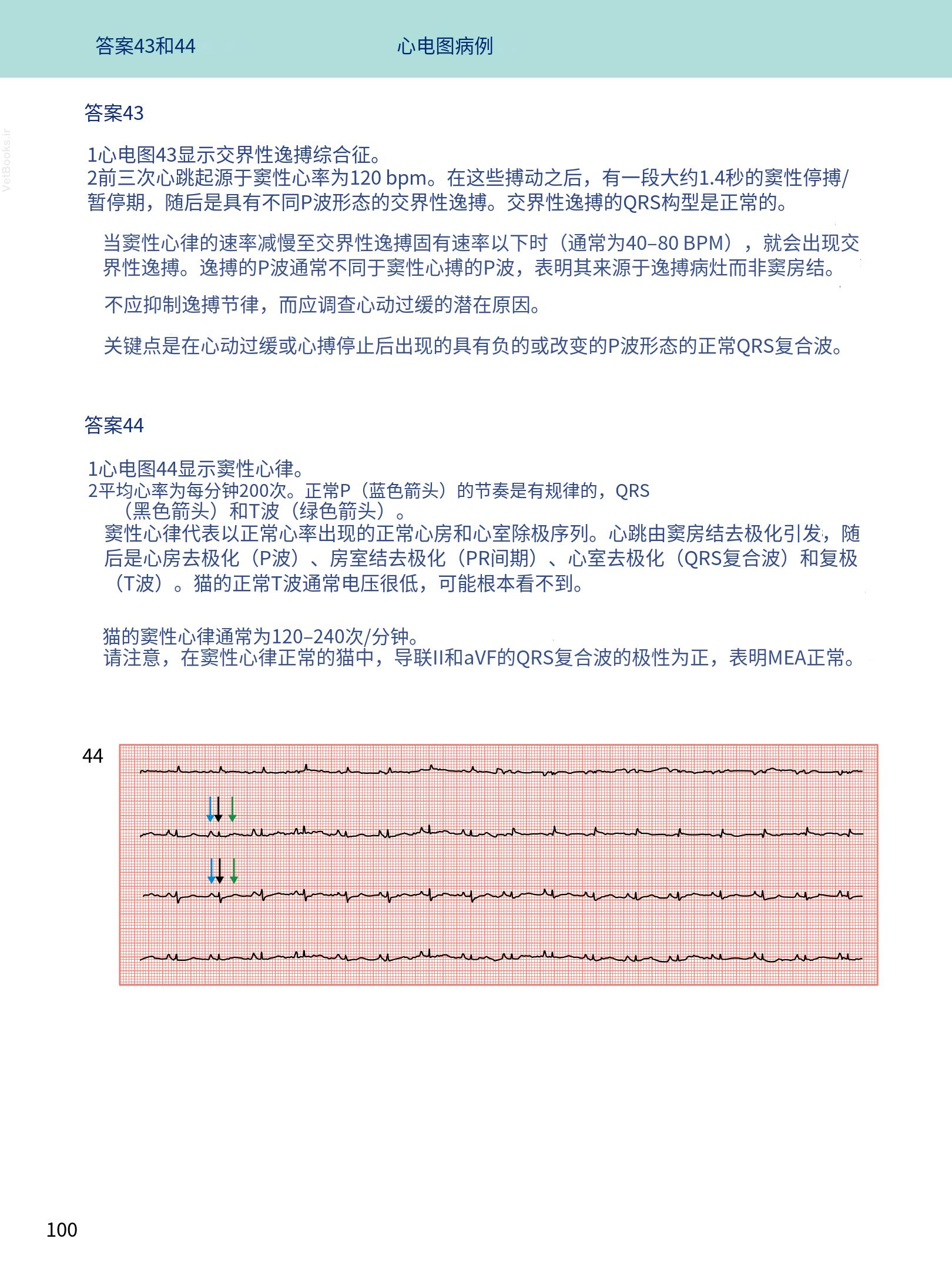 translated.08360f77efdd439f8d33c7a2dc6aedd5_113.png