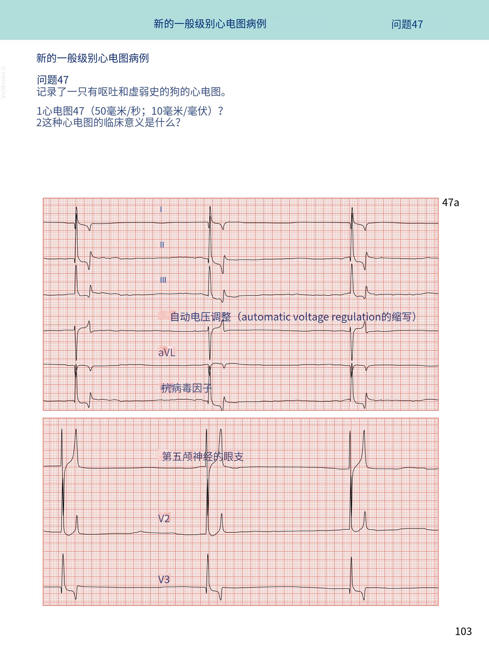 translated.08360f77efdd439f8d33c7a2dc6aedd5_116.png