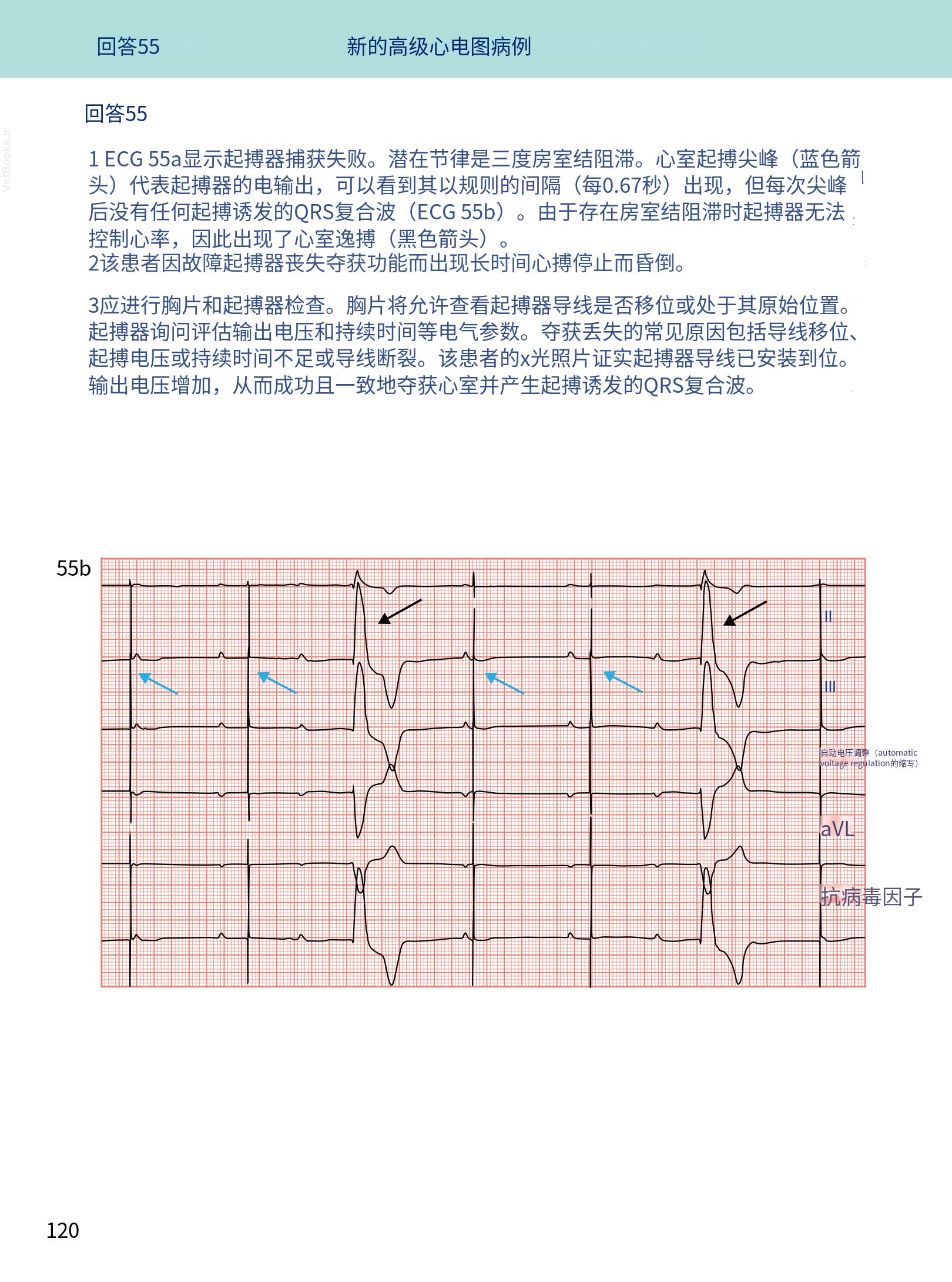 translated.08360f77efdd439f8d33c7a2dc6aedd5_133.png