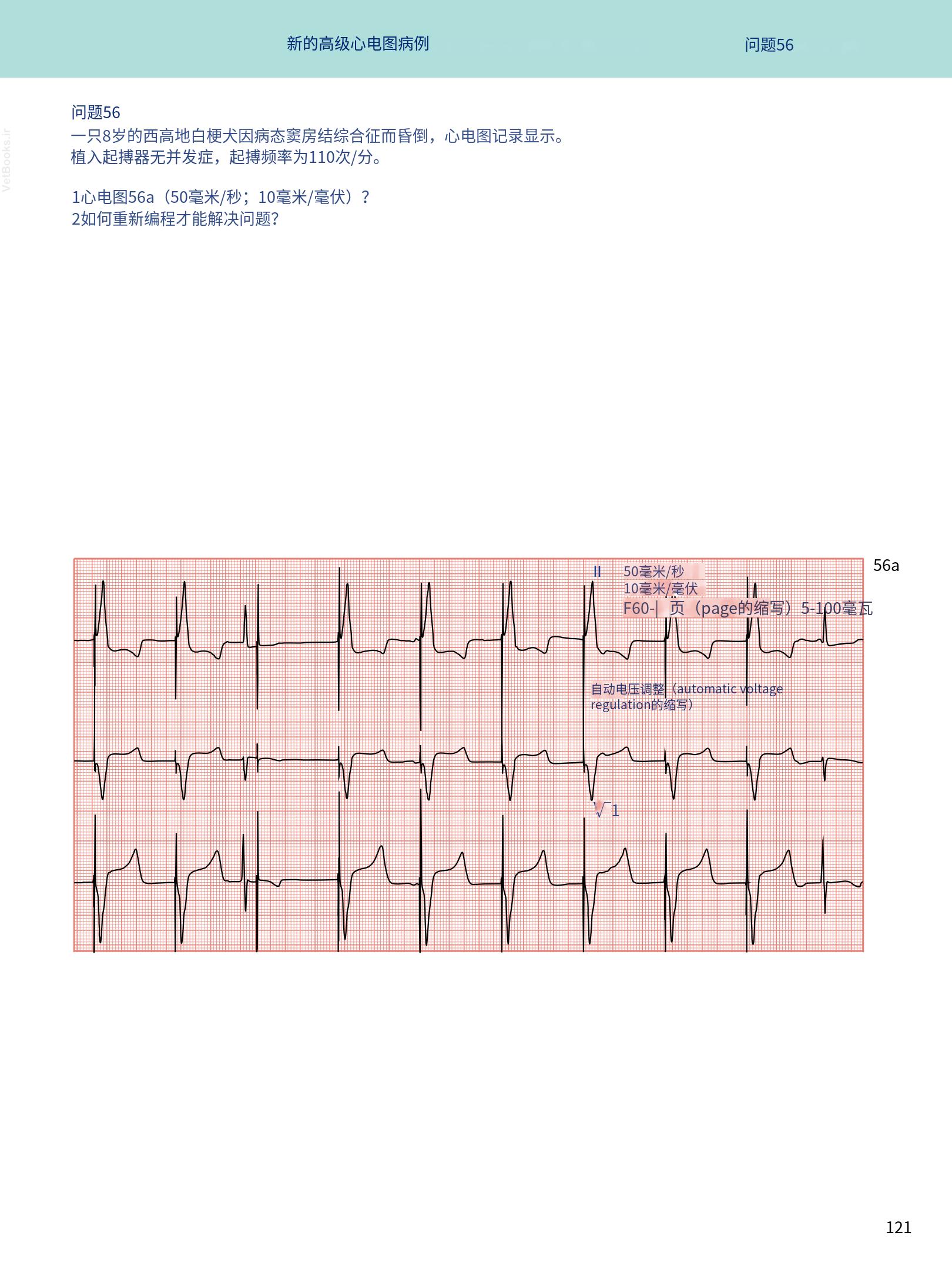 translated.08360f77efdd439f8d33c7a2dc6aedd5_134.png