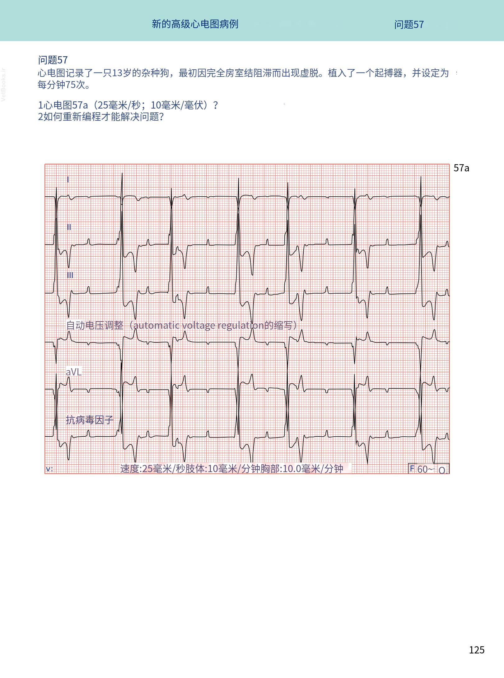 translated.08360f77efdd439f8d33c7a2dc6aedd5_138.png