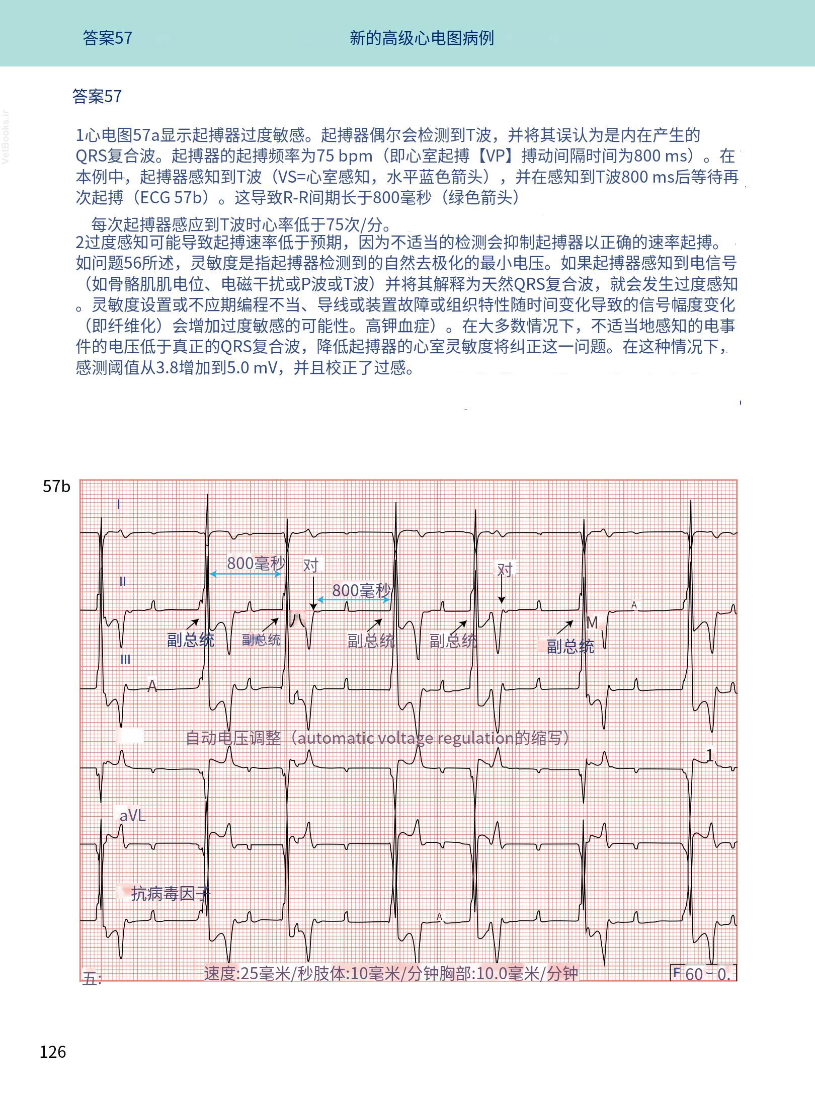 translated.08360f77efdd439f8d33c7a2dc6aedd5_139.png