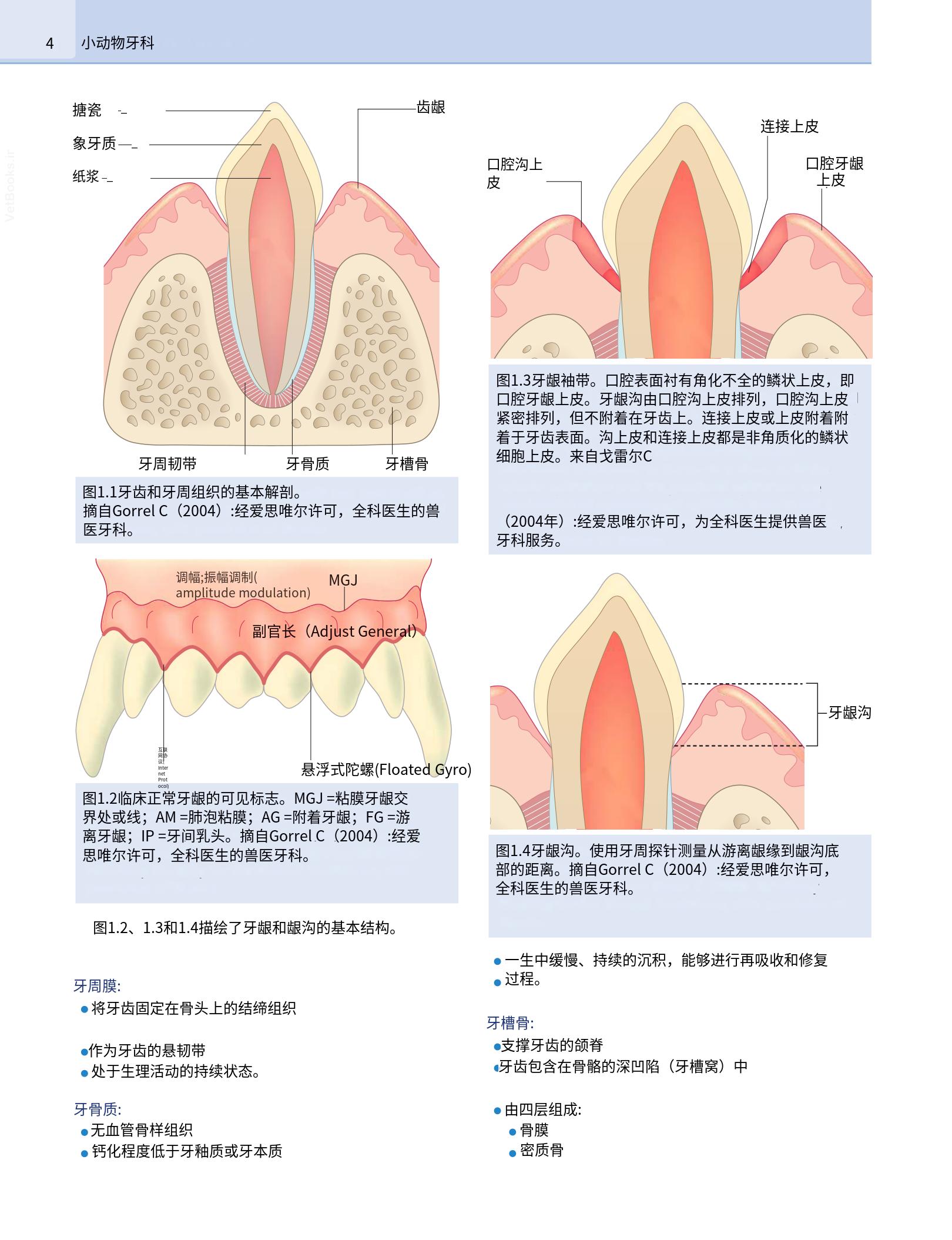 translated.b7292c0d57be45399560cb3cf2e1883e_20.png