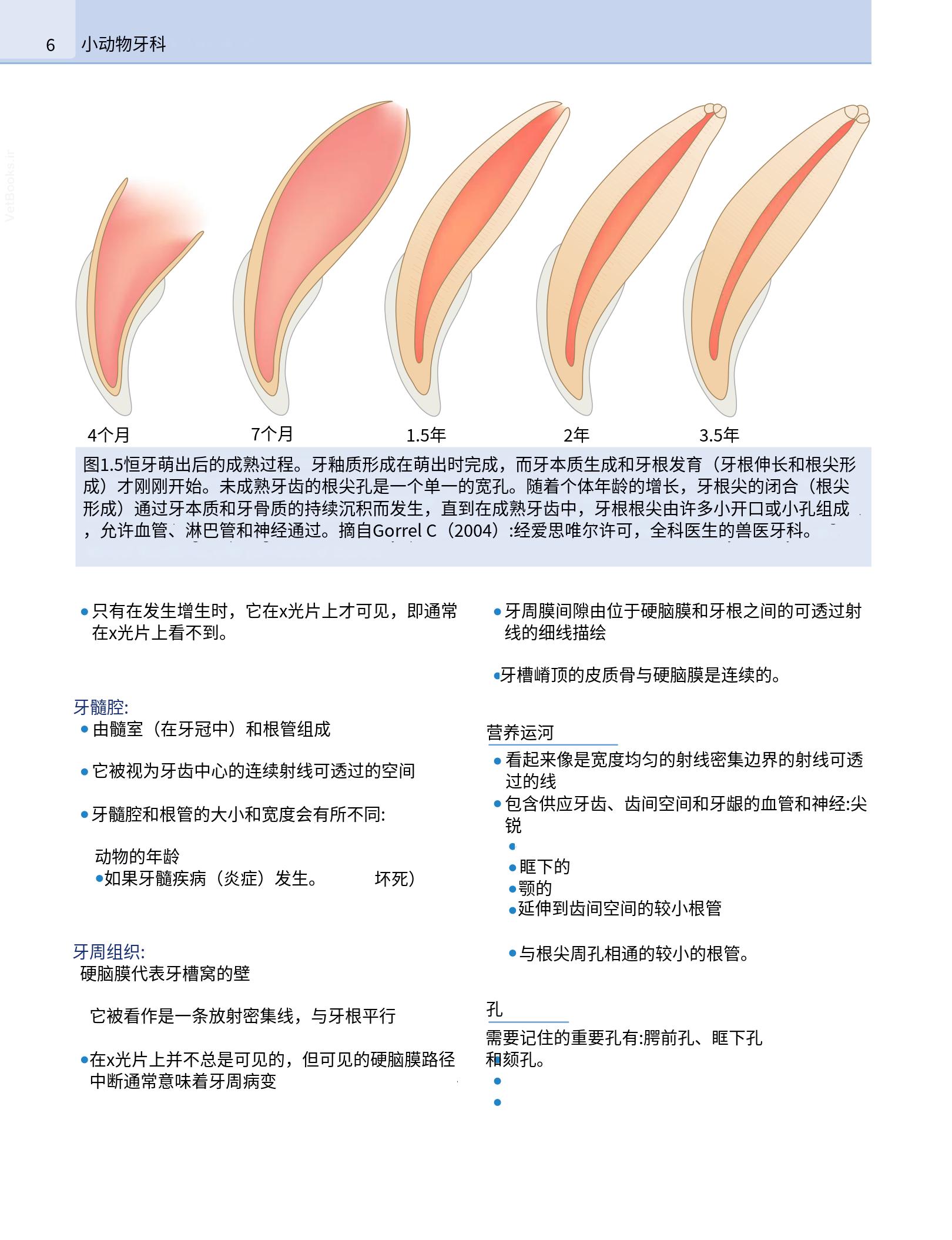 translated.b7292c0d57be45399560cb3cf2e1883e_22.png
