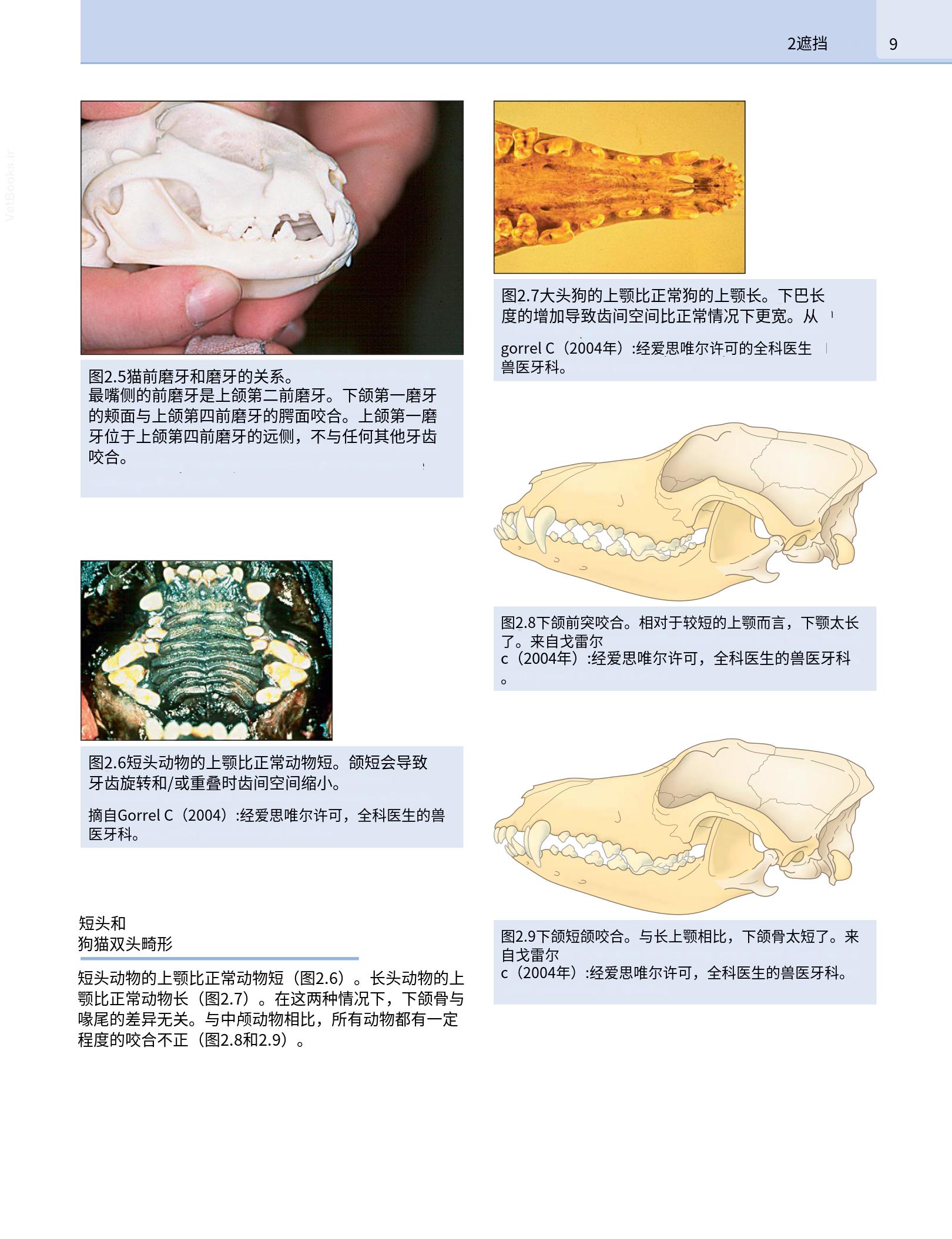 translated.b7292c0d57be45399560cb3cf2e1883e_25.png