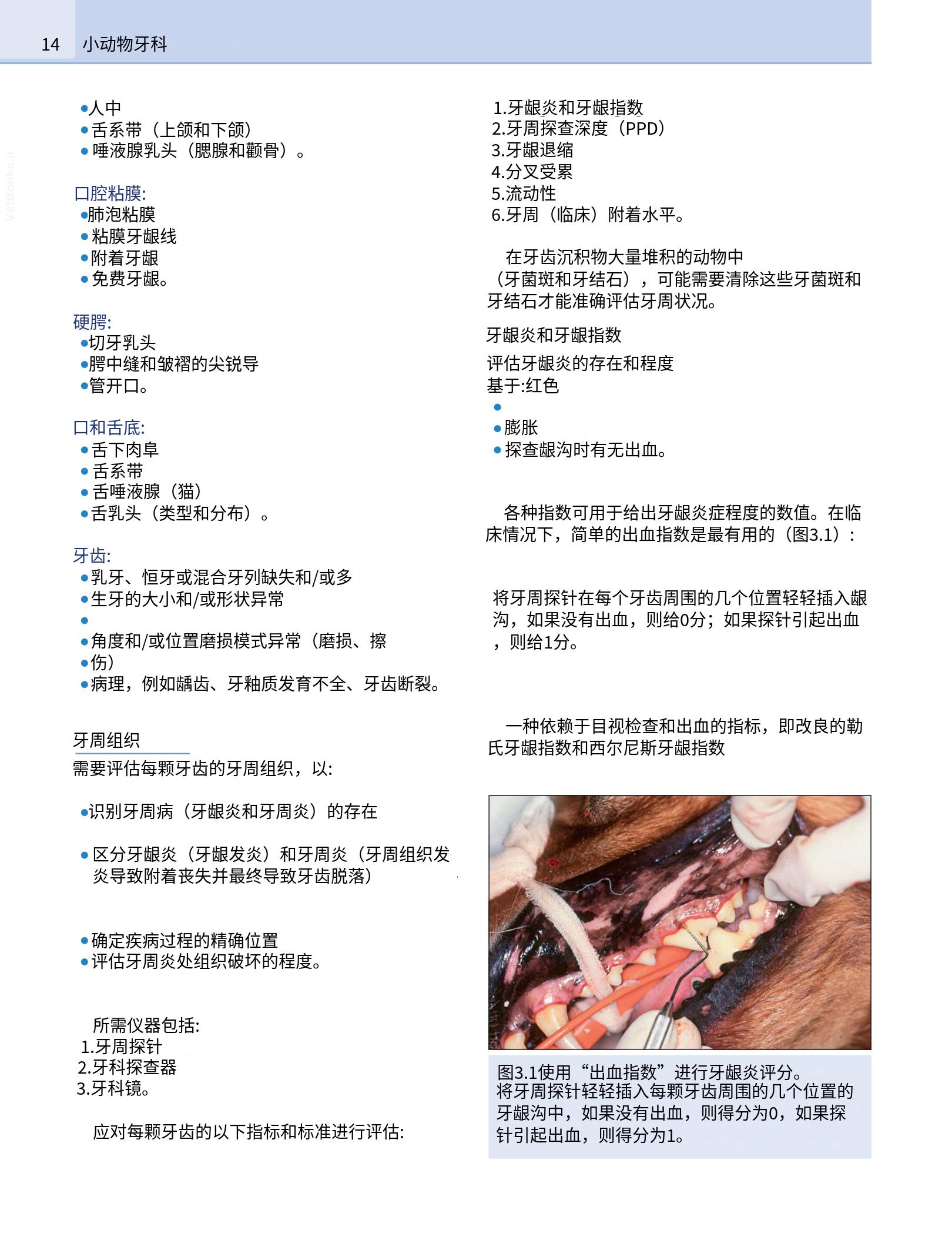 translated.b7292c0d57be45399560cb3cf2e1883e_30.png