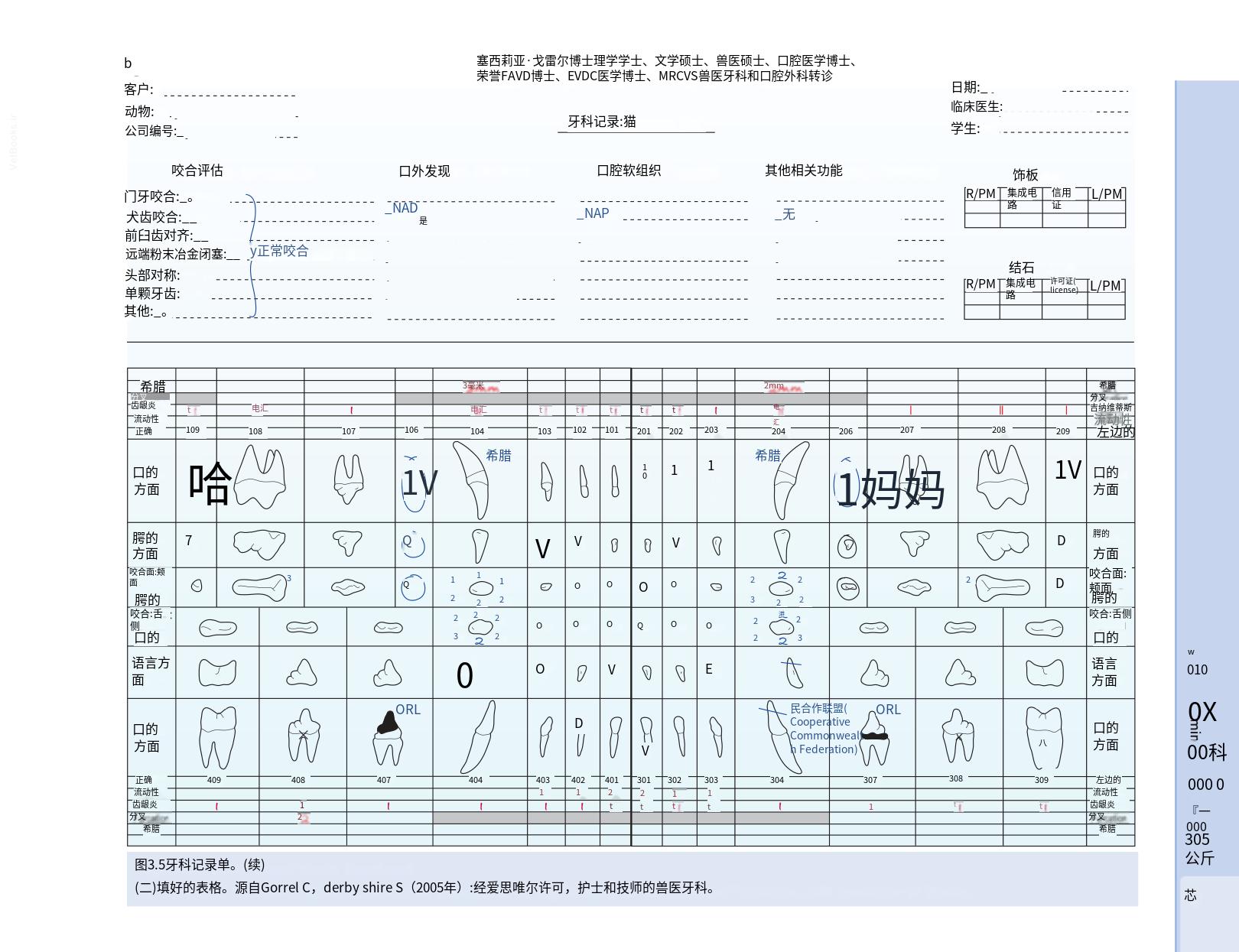 translated.b7292c0d57be45399560cb3cf2e1883e_35.png