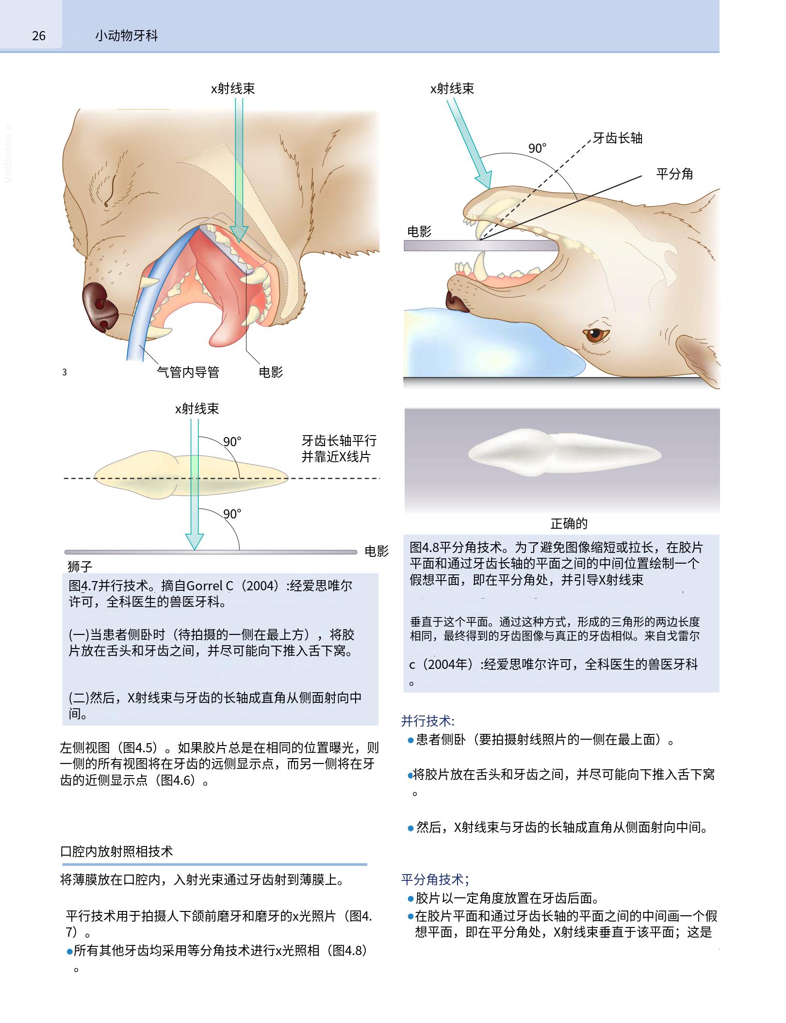 translated.b7292c0d57be45399560cb3cf2e1883e_42.png