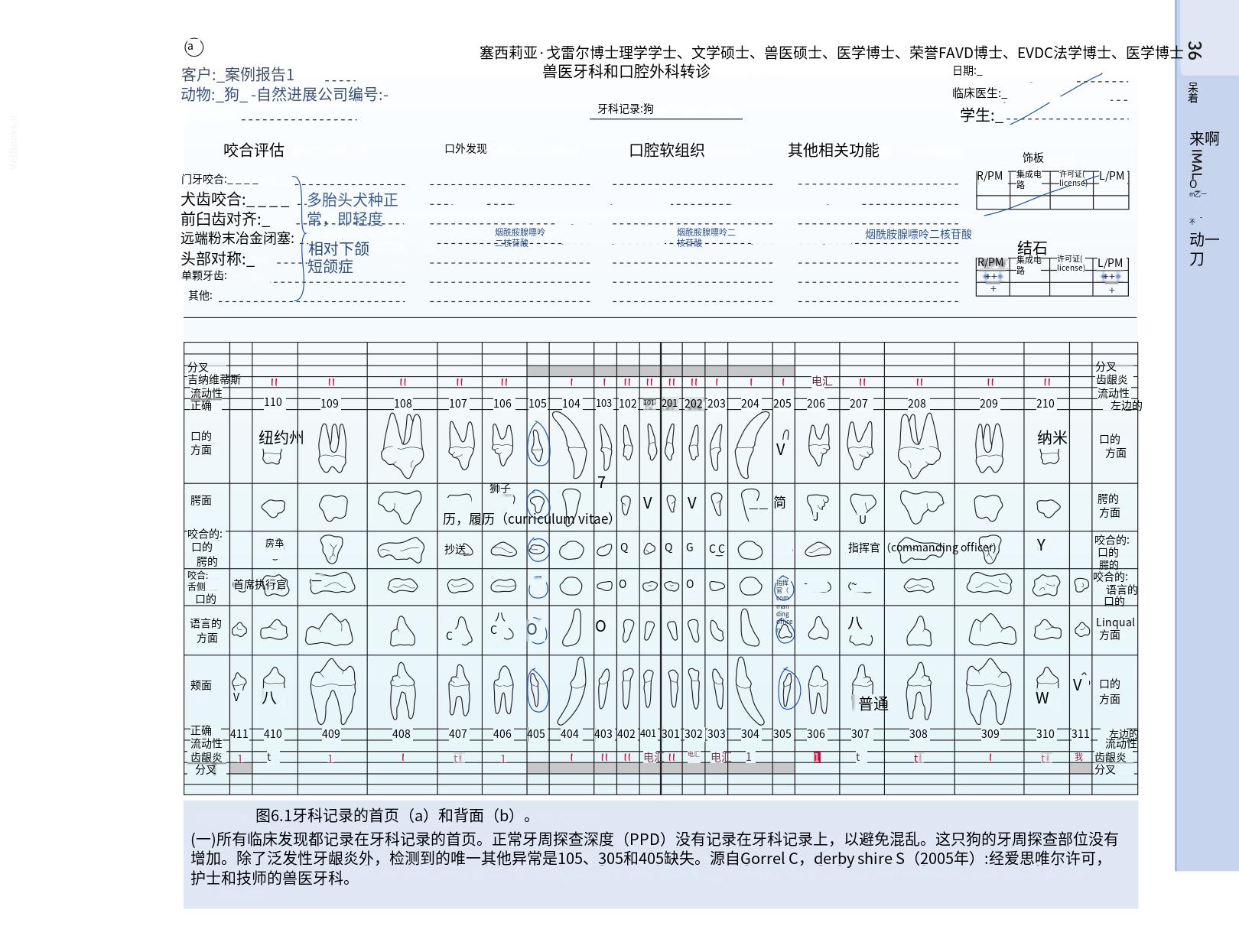 translated.b7292c0d57be45399560cb3cf2e1883e_52.png