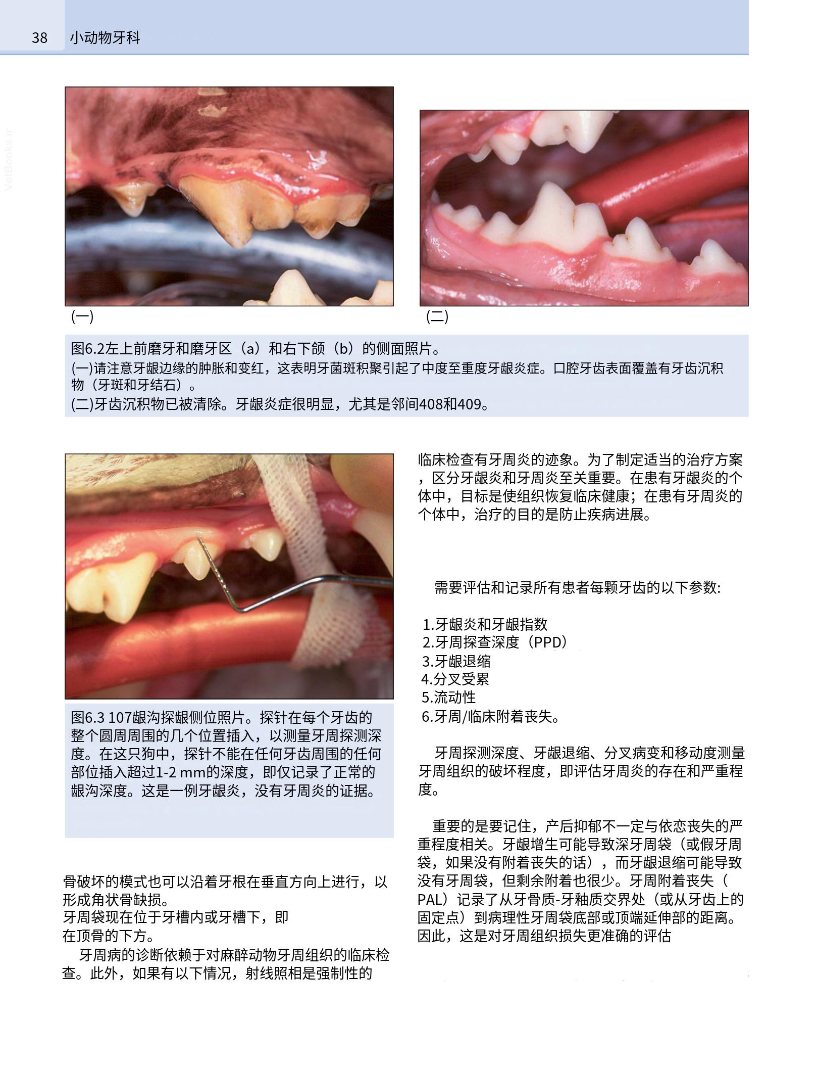 translated.b7292c0d57be45399560cb3cf2e1883e_54.png