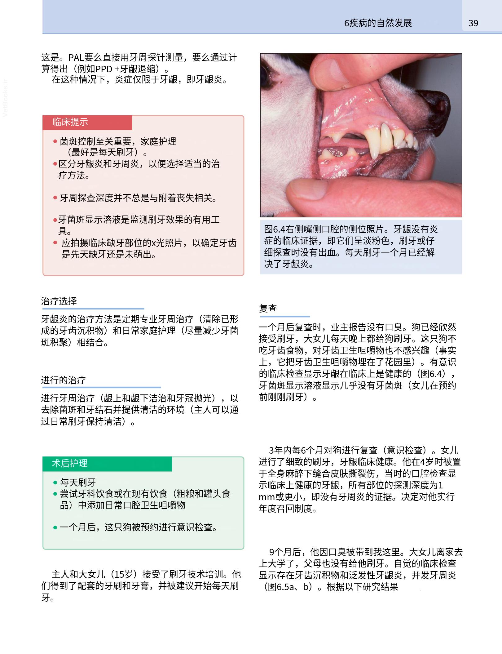 translated.b7292c0d57be45399560cb3cf2e1883e_55.png