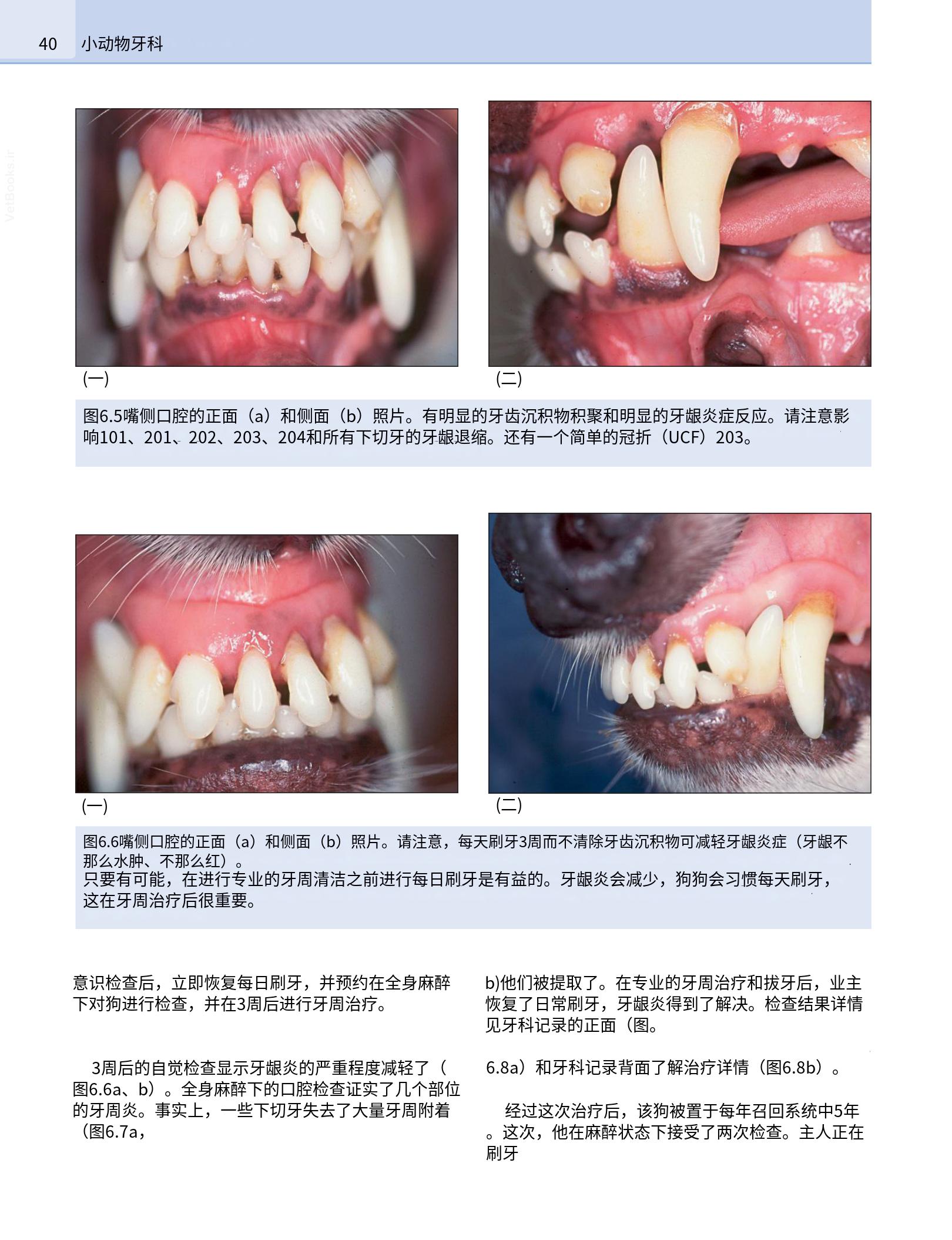 translated.b7292c0d57be45399560cb3cf2e1883e_56.png