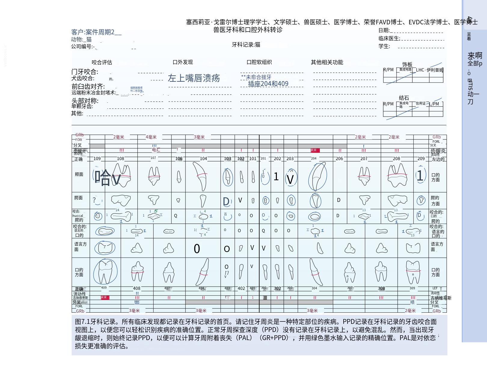translated.b7292c0d57be45399560cb3cf2e1883e_62.png