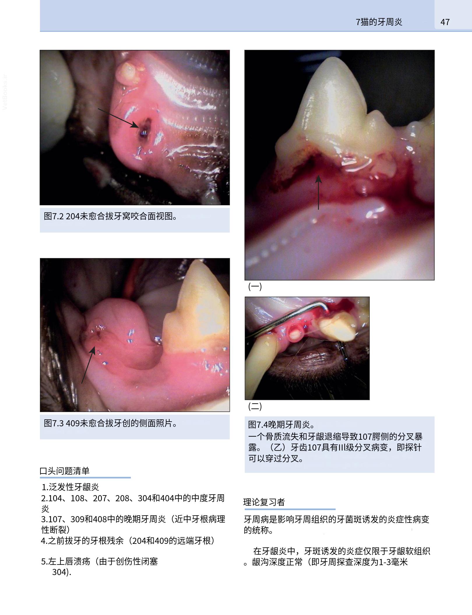 translated.b7292c0d57be45399560cb3cf2e1883e_63.png