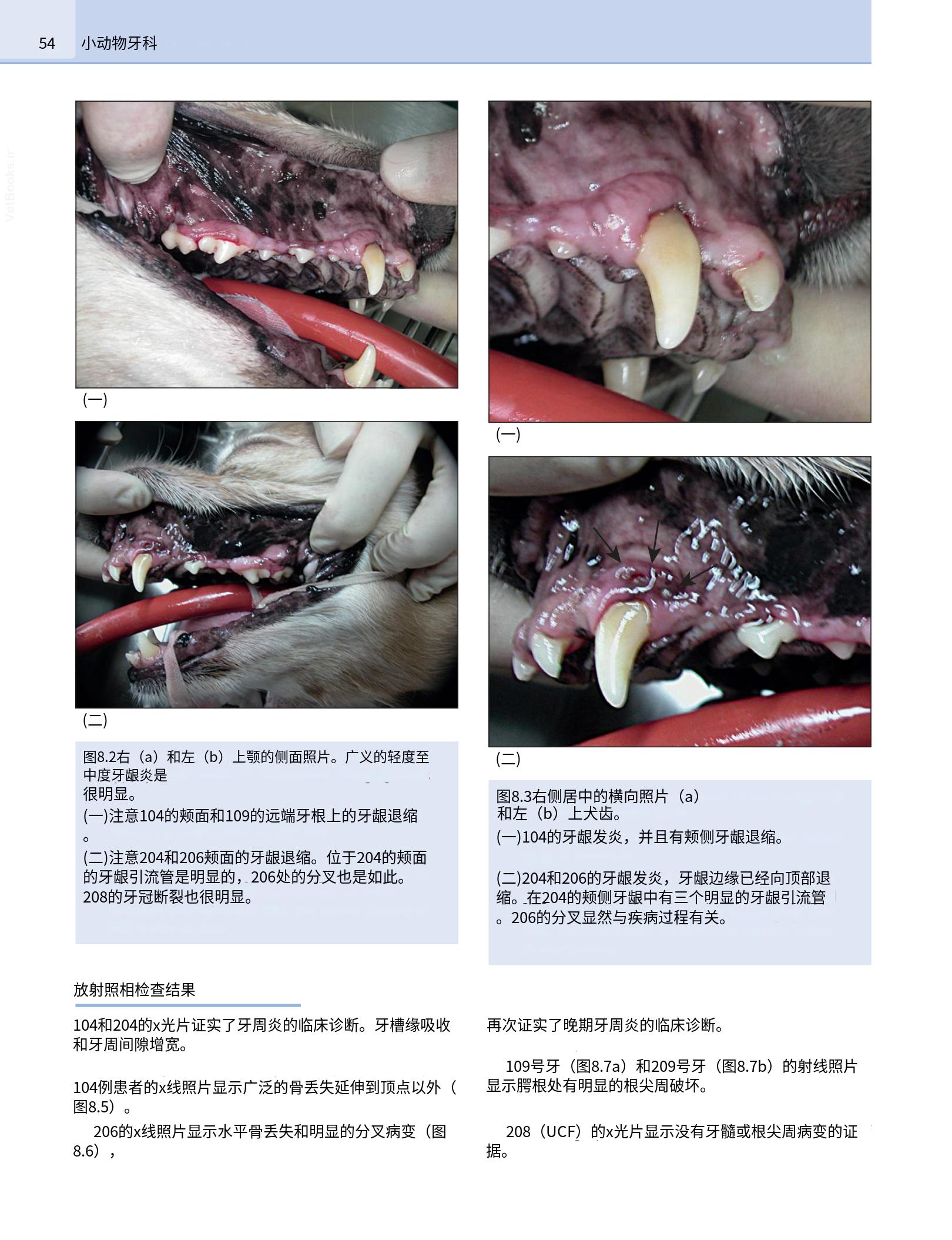 translated.b7292c0d57be45399560cb3cf2e1883e_70.png