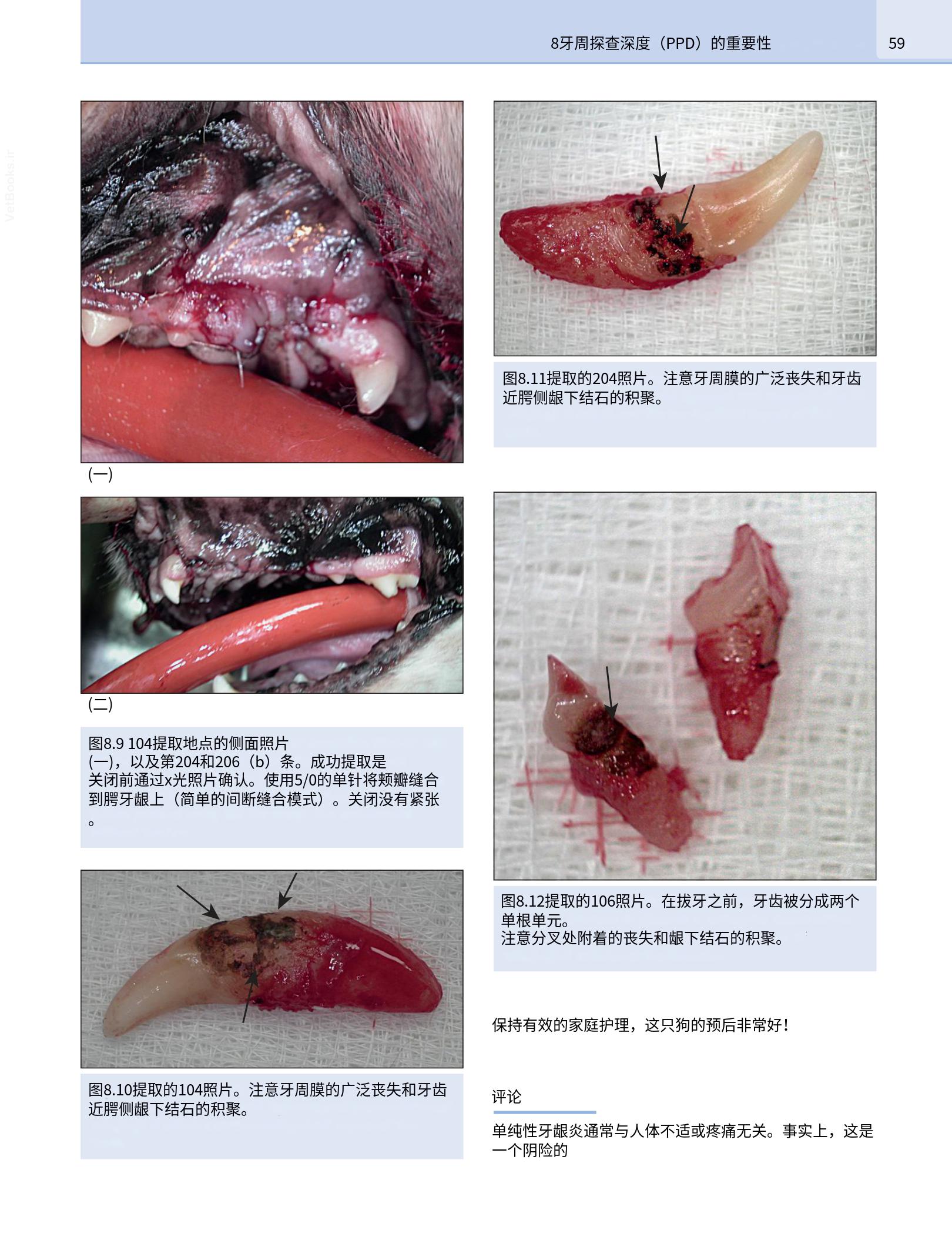 translated.b7292c0d57be45399560cb3cf2e1883e_75.png