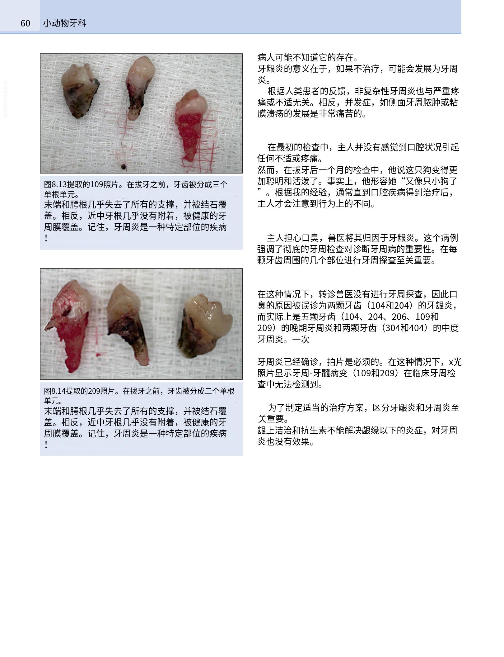 translated.b7292c0d57be45399560cb3cf2e1883e_76.png