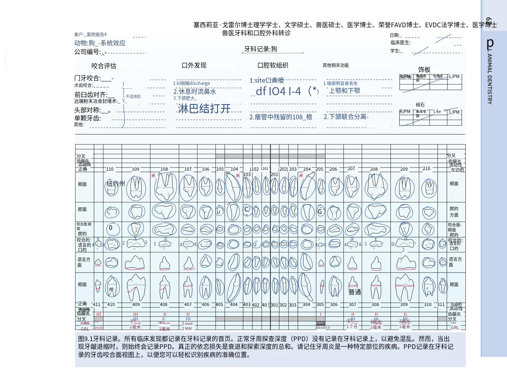 translated.b7292c0d57be45399560cb3cf2e1883e_78.png