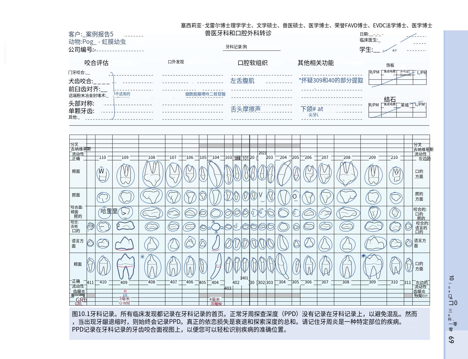 translated.b7292c0d57be45399560cb3cf2e1883e_85.png